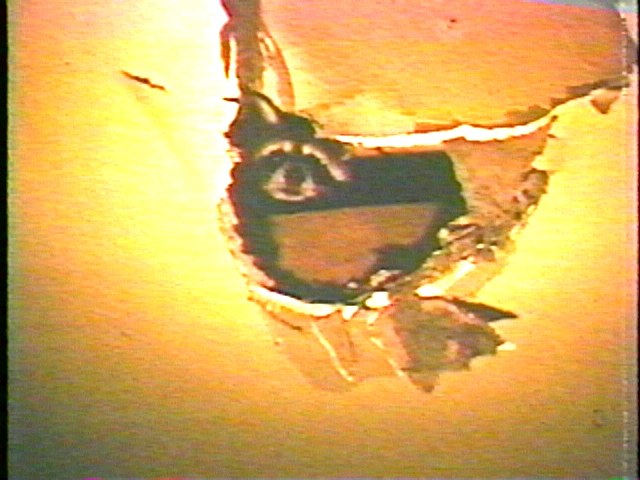 G.B. Jones, Double Bill: The films of G.B. Jones at Air de Paris, photo 23