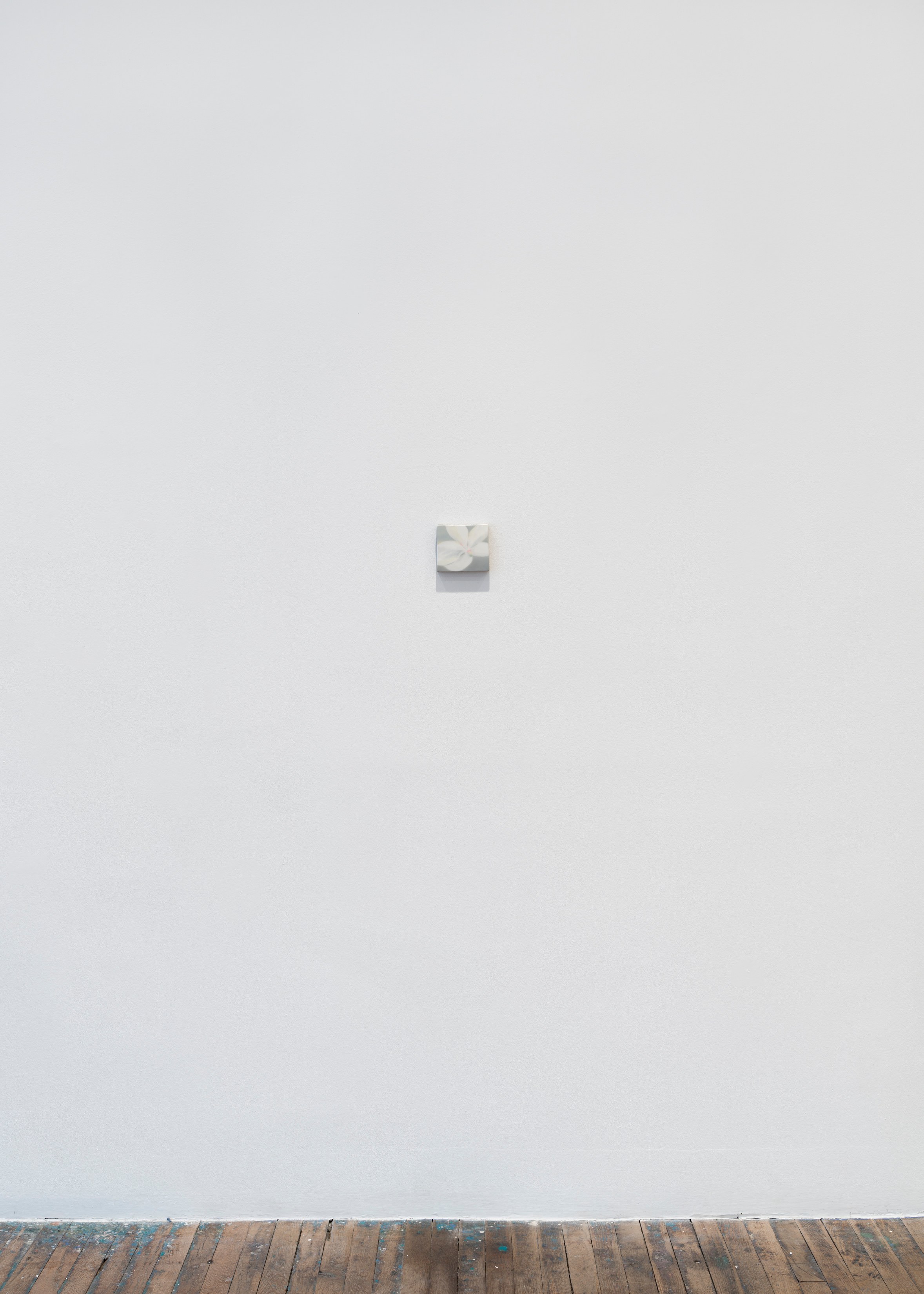 Luz Carabaño, Currents at Hoffman Donahue, photo 7