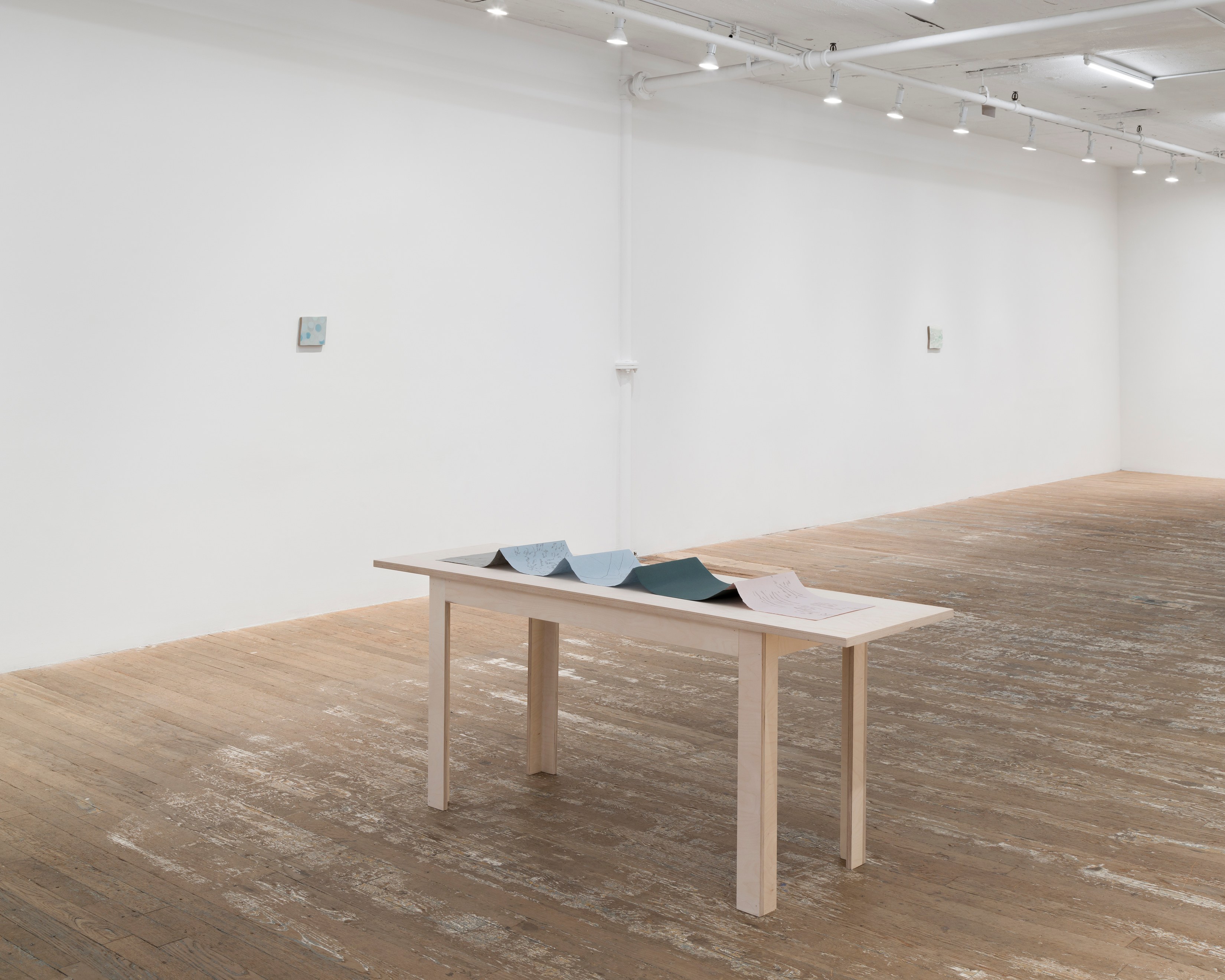 Luz Carabaño, Currents at Hoffman Donahue, photo 19