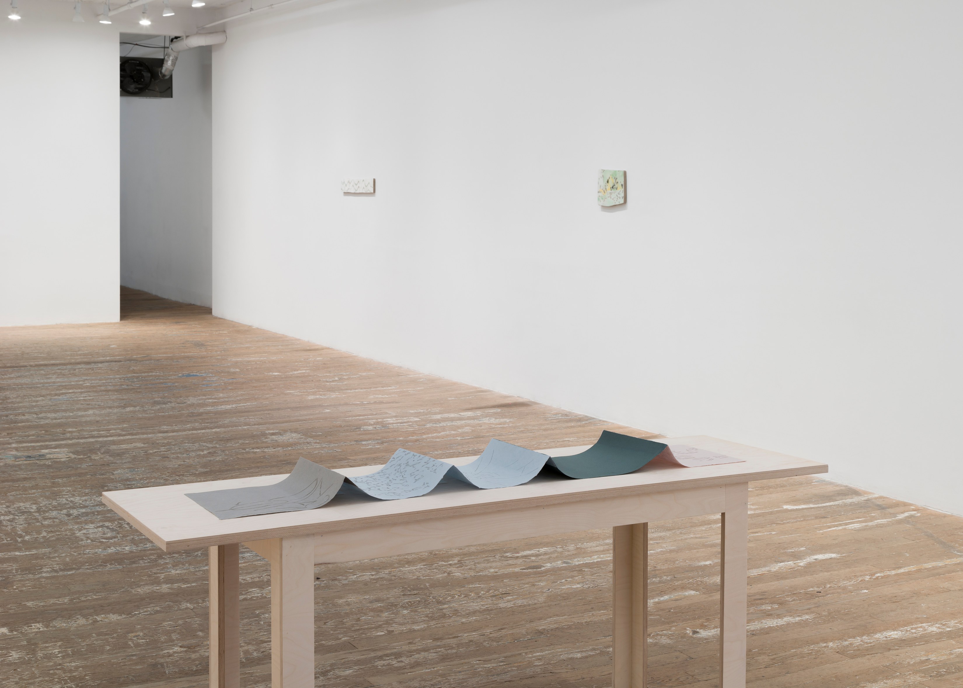 Luz Carabaño, Currents at Hoffman Donahue, photo 21