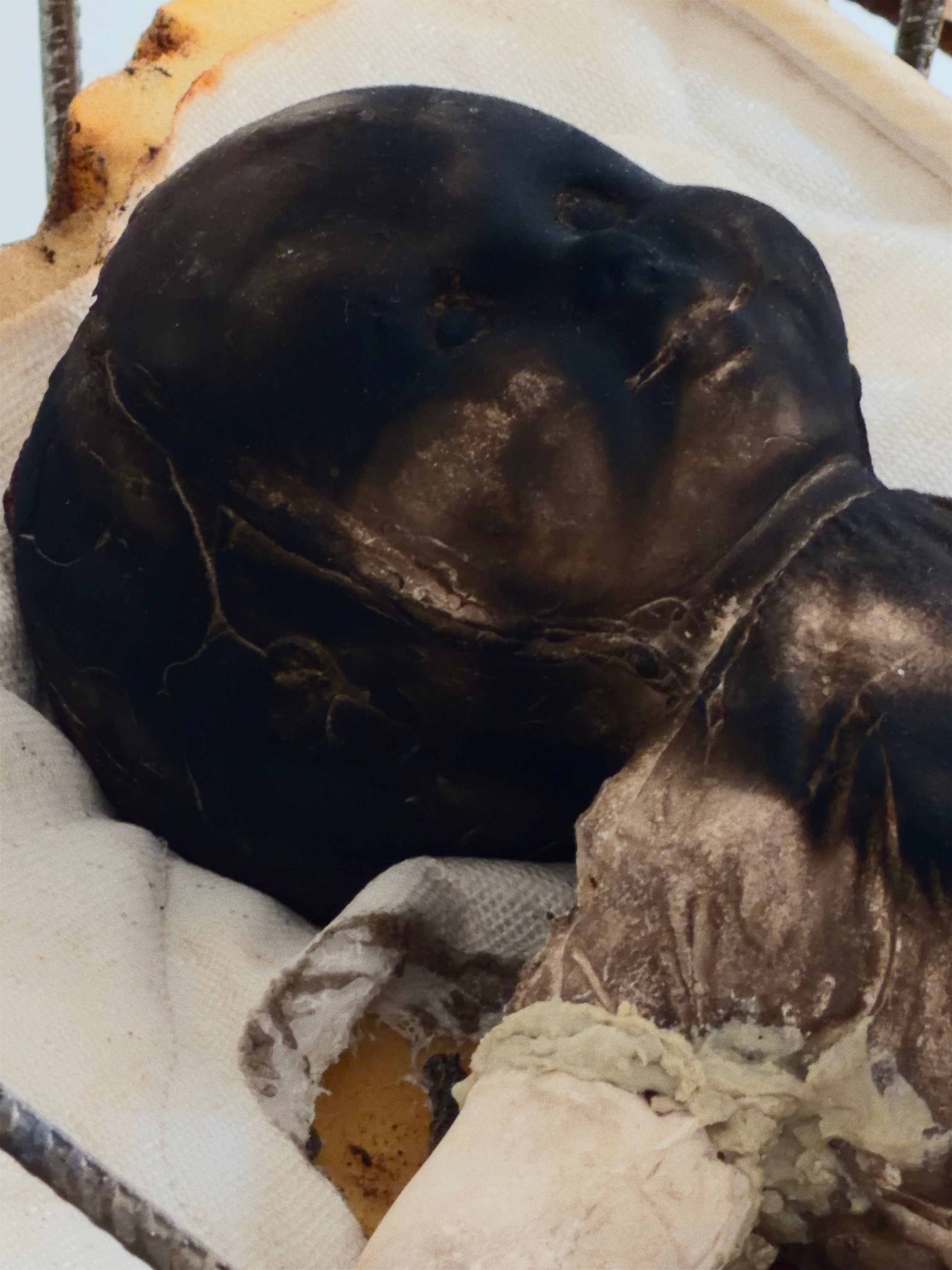 Charlotte Houette, Pure Trance at Galerie Florence Loewy, photo 16