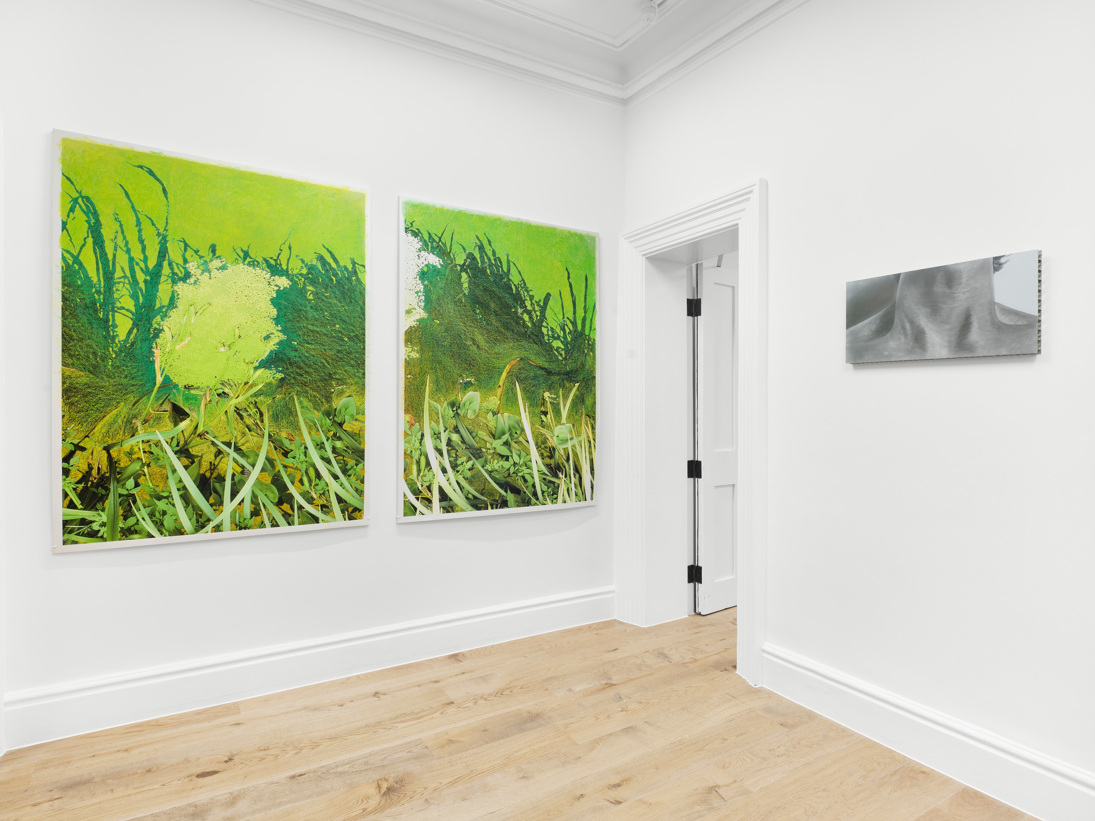 Search for Tomorrow, Search for Tomorrow at Maria Bernheim, photo 3