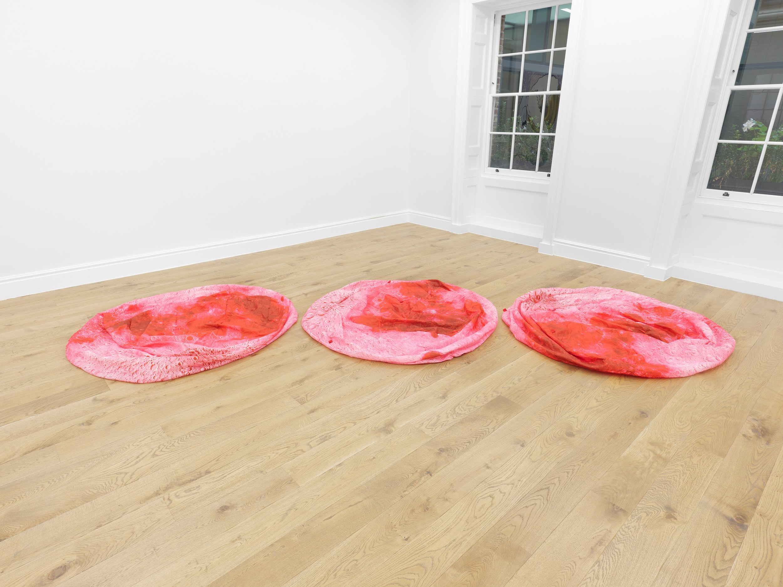 Search for Tomorrow, Search for Tomorrow at Maria Bernheim, photo 24