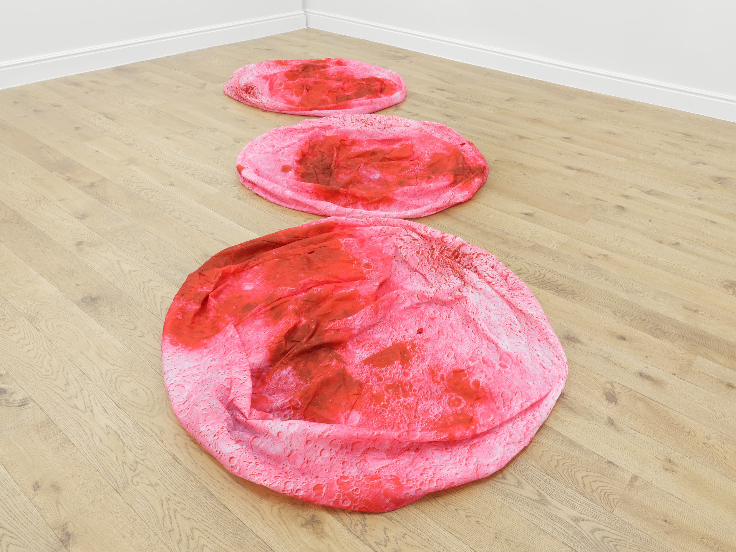 Search for Tomorrow, Search for Tomorrow at Maria Bernheim, photo 25