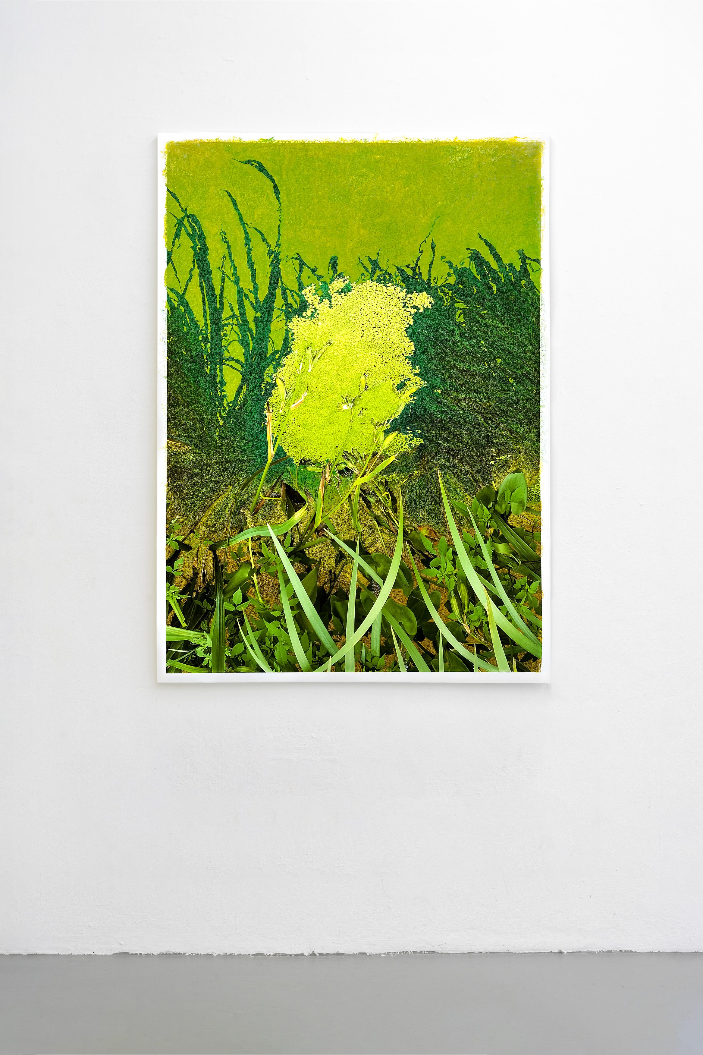 Search for Tomorrow, Search for Tomorrow at Maria Bernheim, photo 46