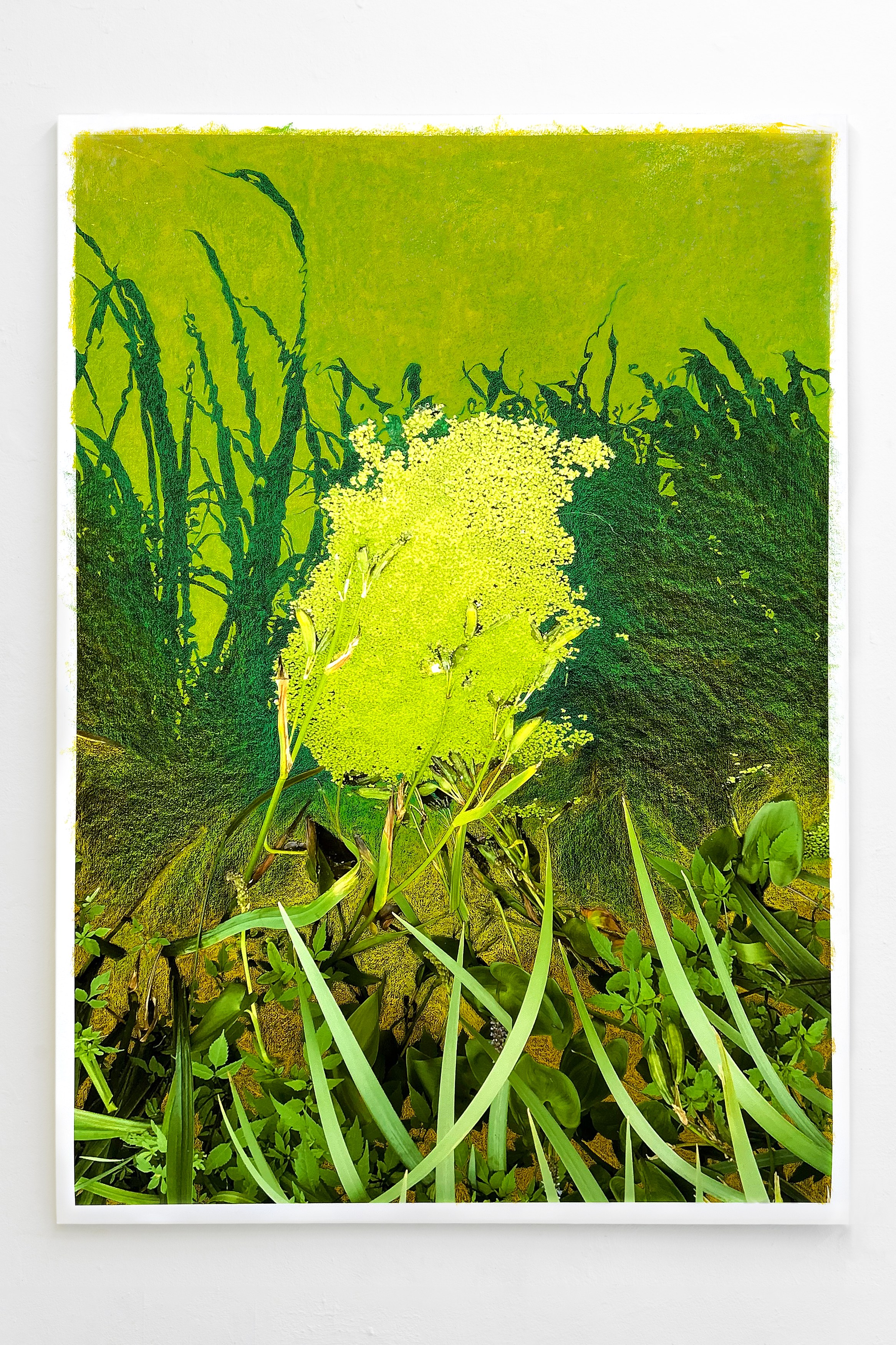 Search for Tomorrow, Search for Tomorrow at Maria Bernheim, photo 47