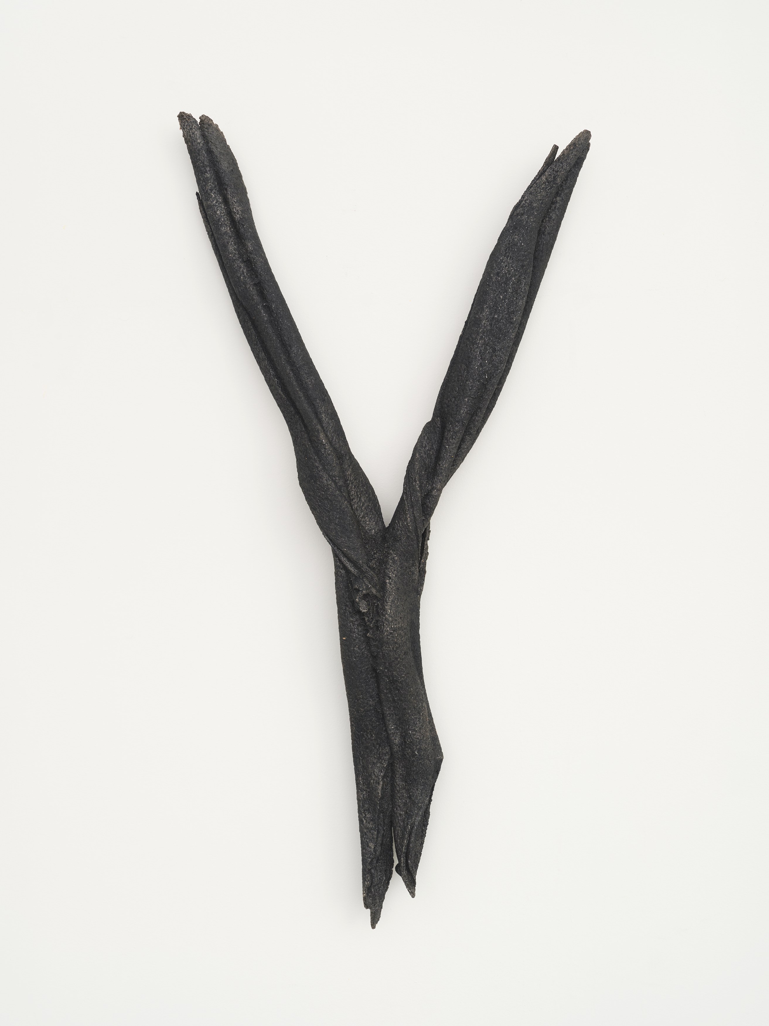 Search for Tomorrow, Search for Tomorrow at Maria Bernheim, photo 54