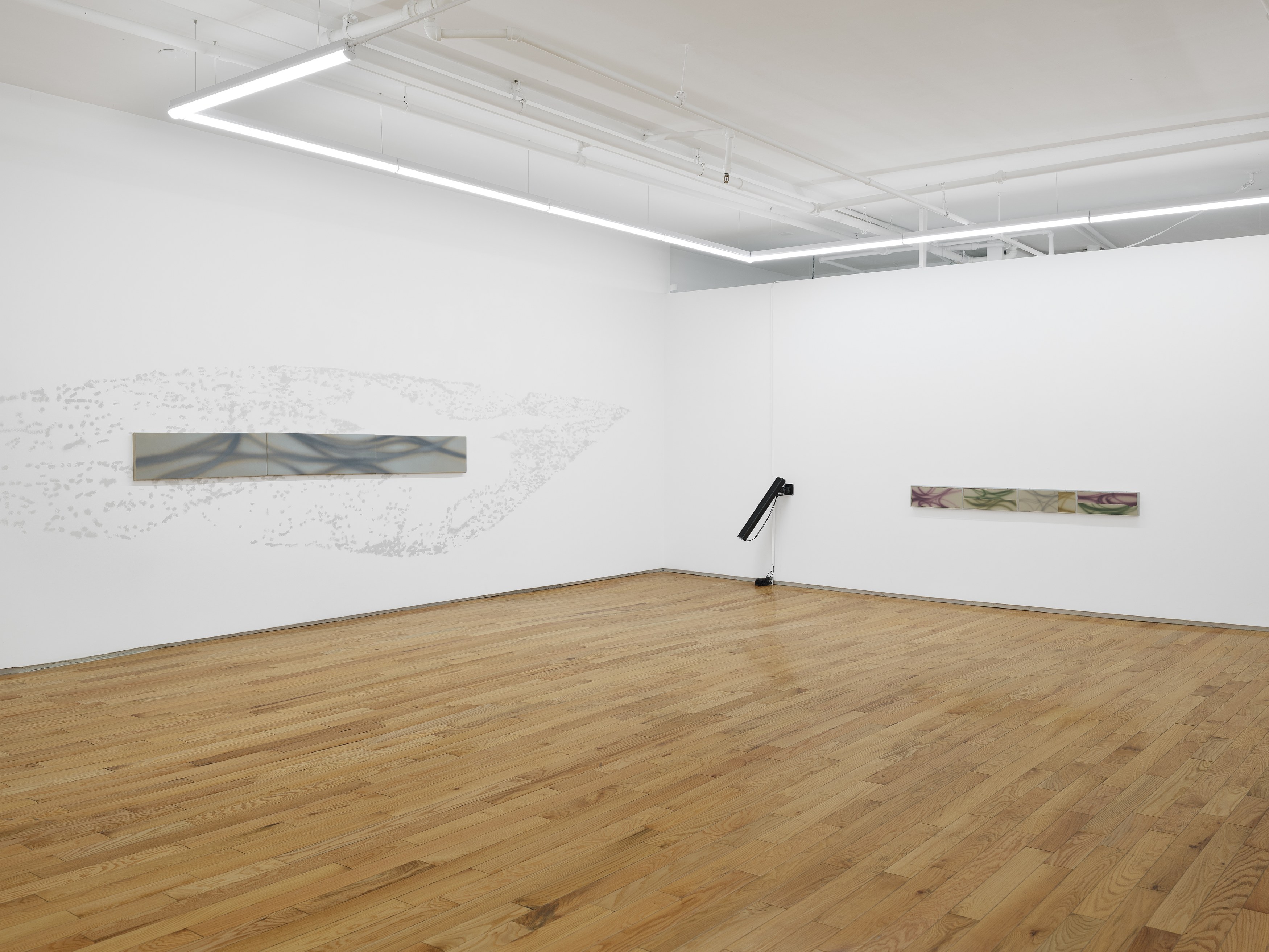 Lucas Dupuy, Memory Root at Island, photo 2