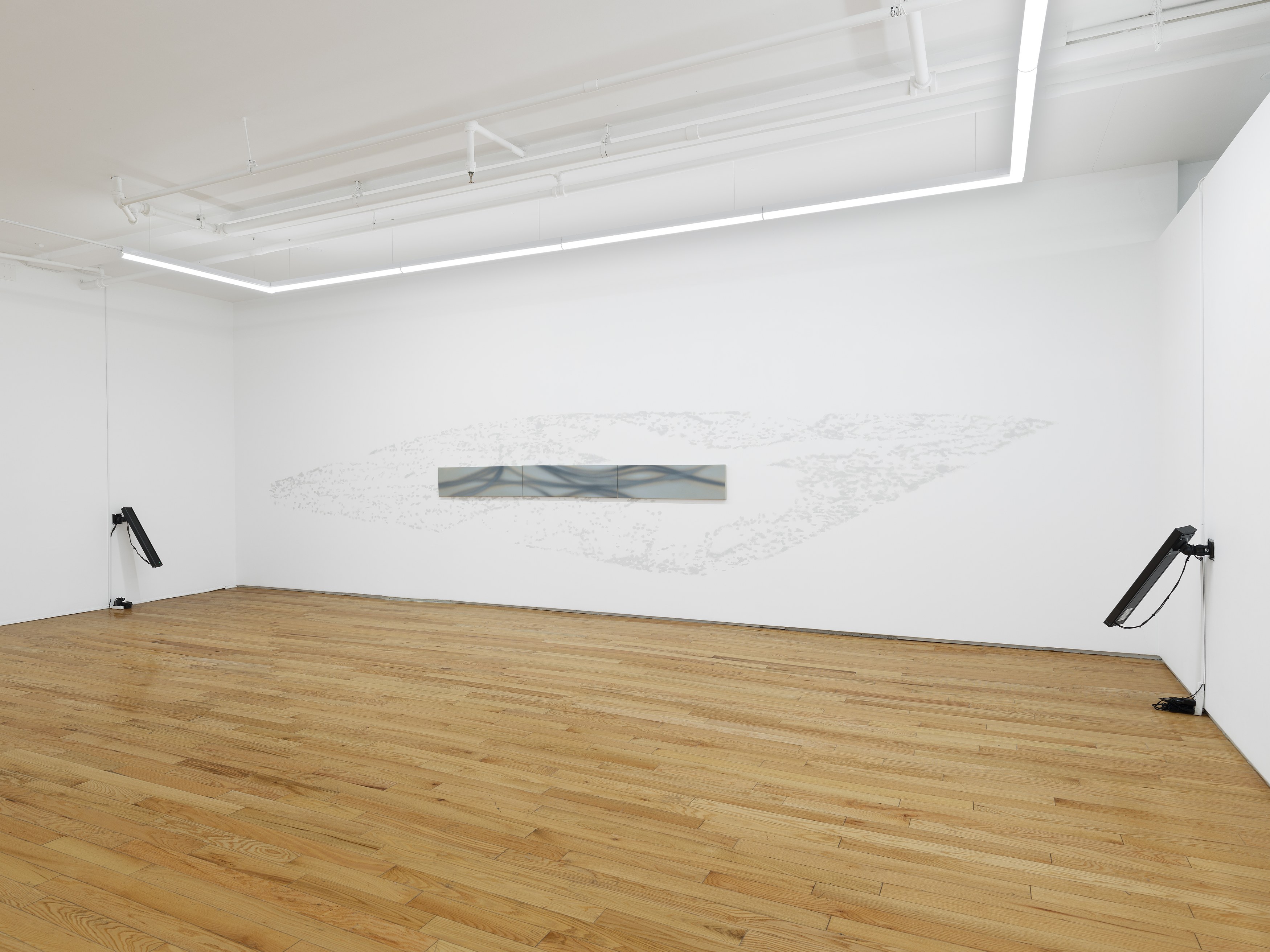 Lucas Dupuy, Memory Root at Island, photo 4