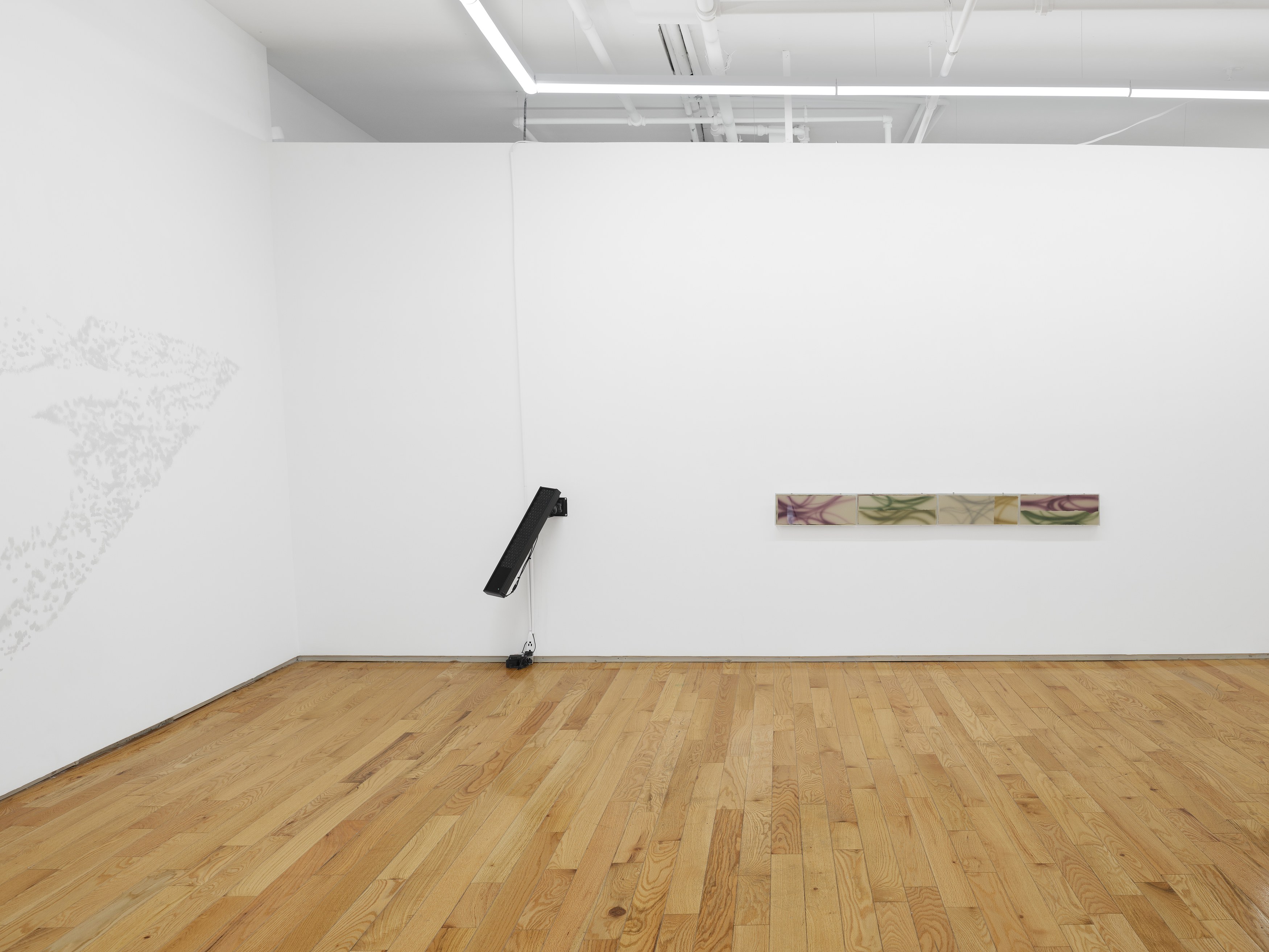 Lucas Dupuy, Memory Root at Island, photo 3