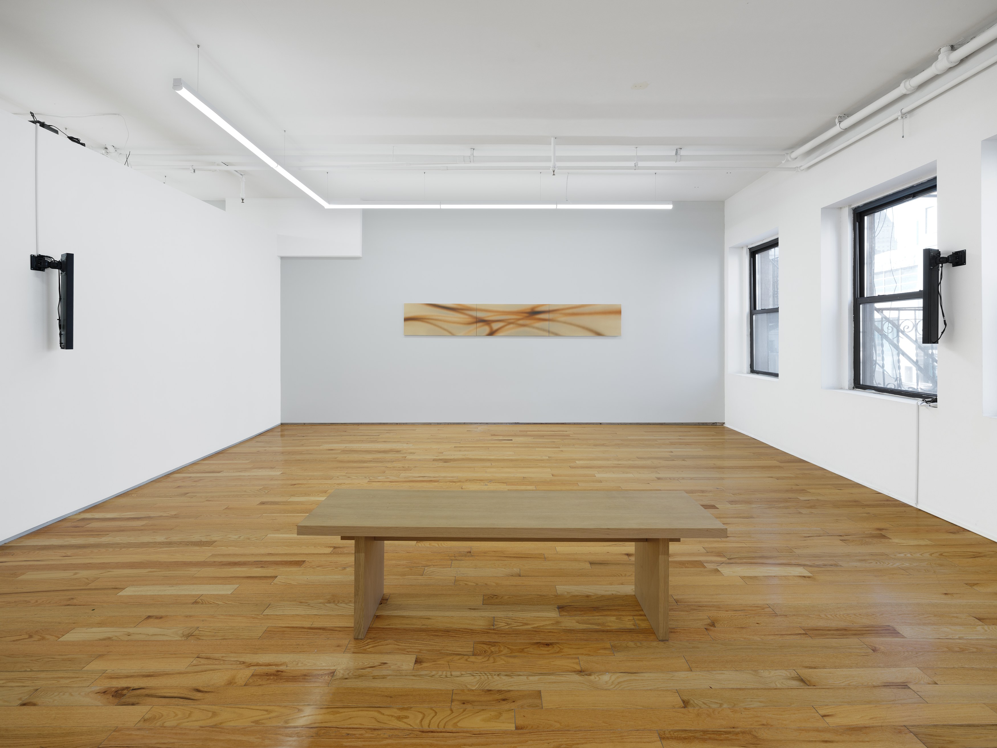 Lucas Dupuy, Memory Root at Island, photo 9
