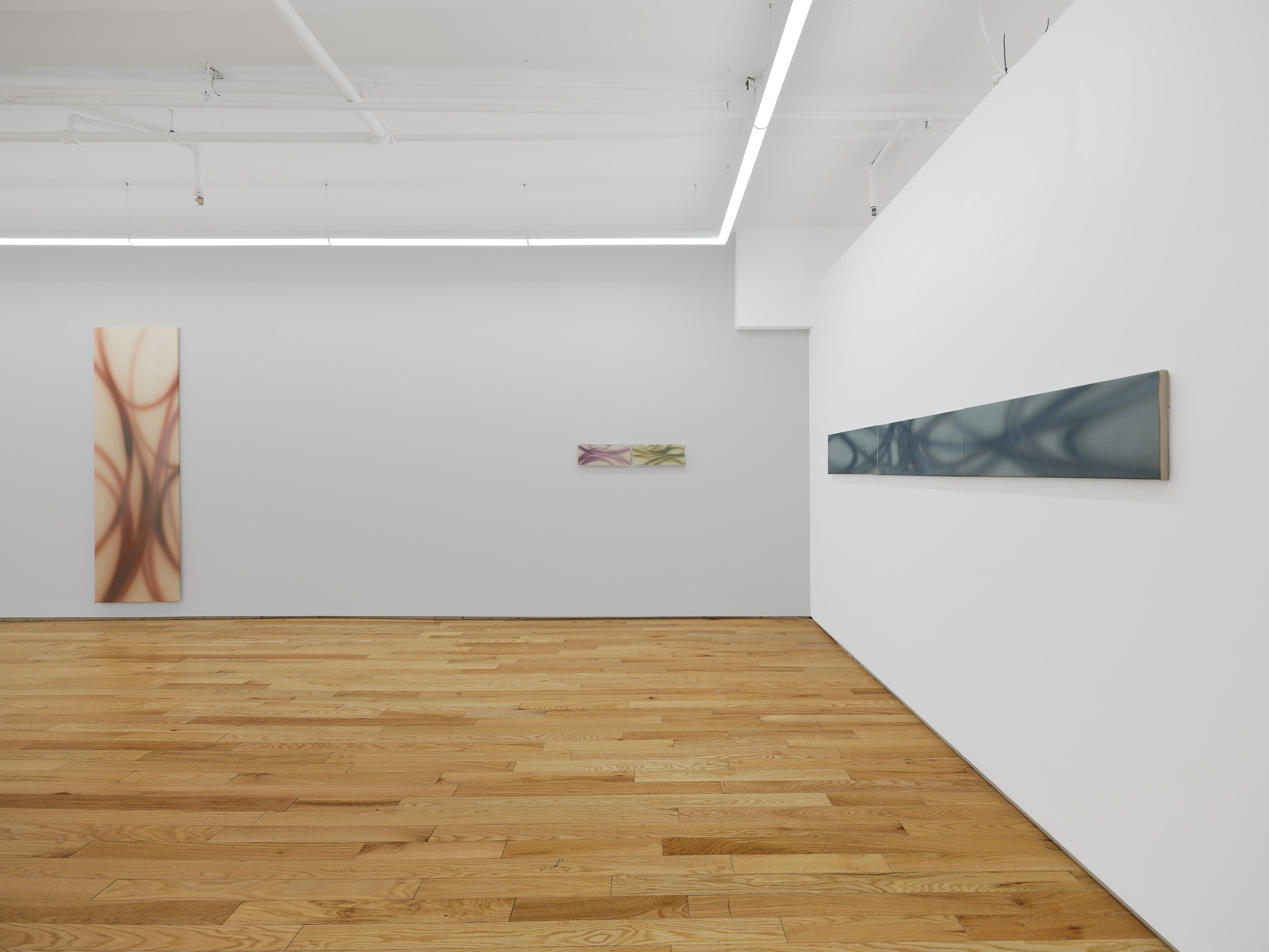 Lucas Dupuy, Memory Root at Island, photo 11