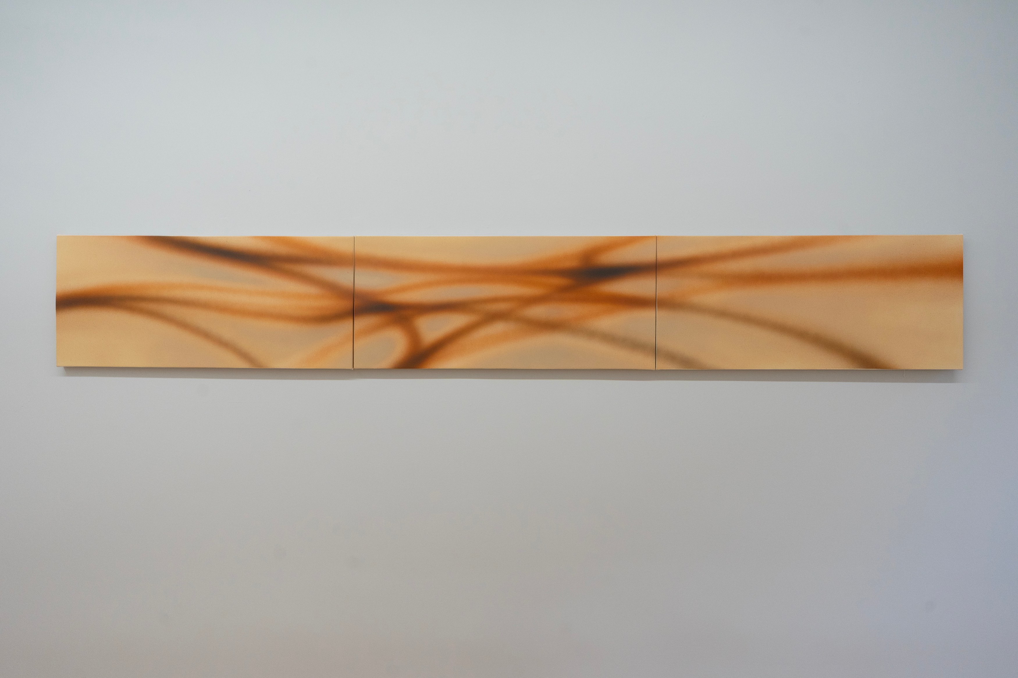 Lucas Dupuy, Memory Root at Island, photo 14