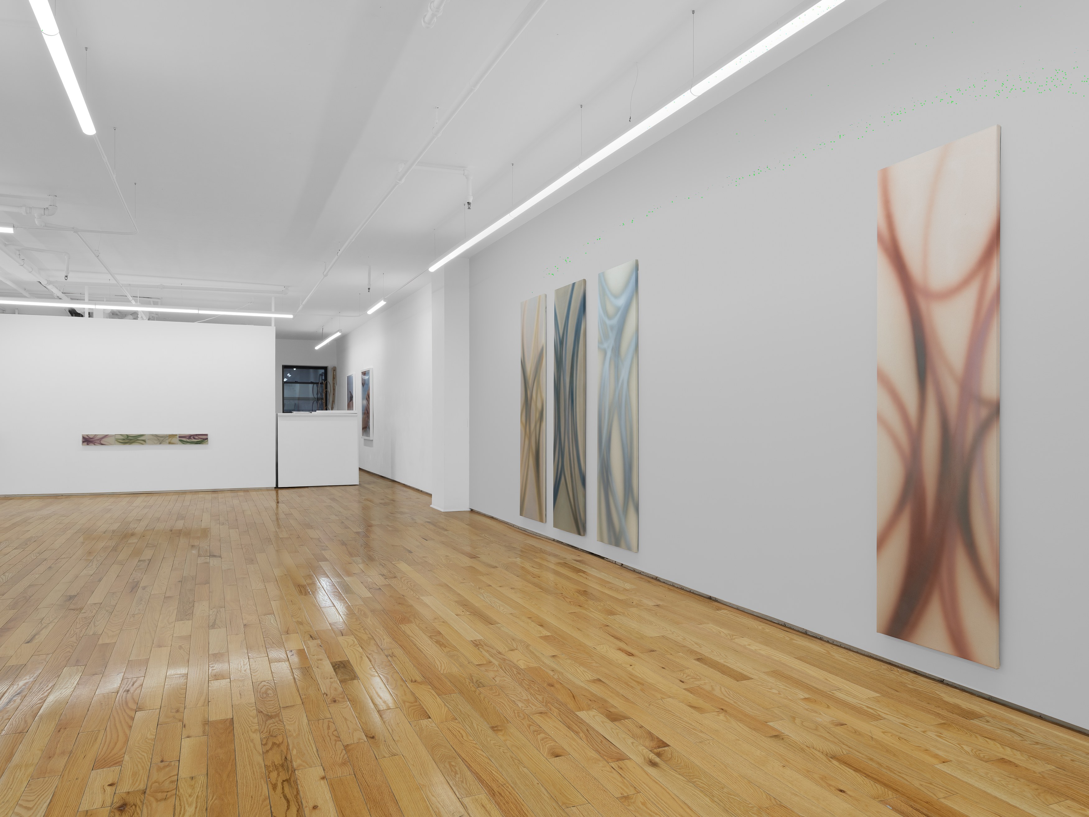 Lucas Dupuy, Memory Root at Island, photo 12