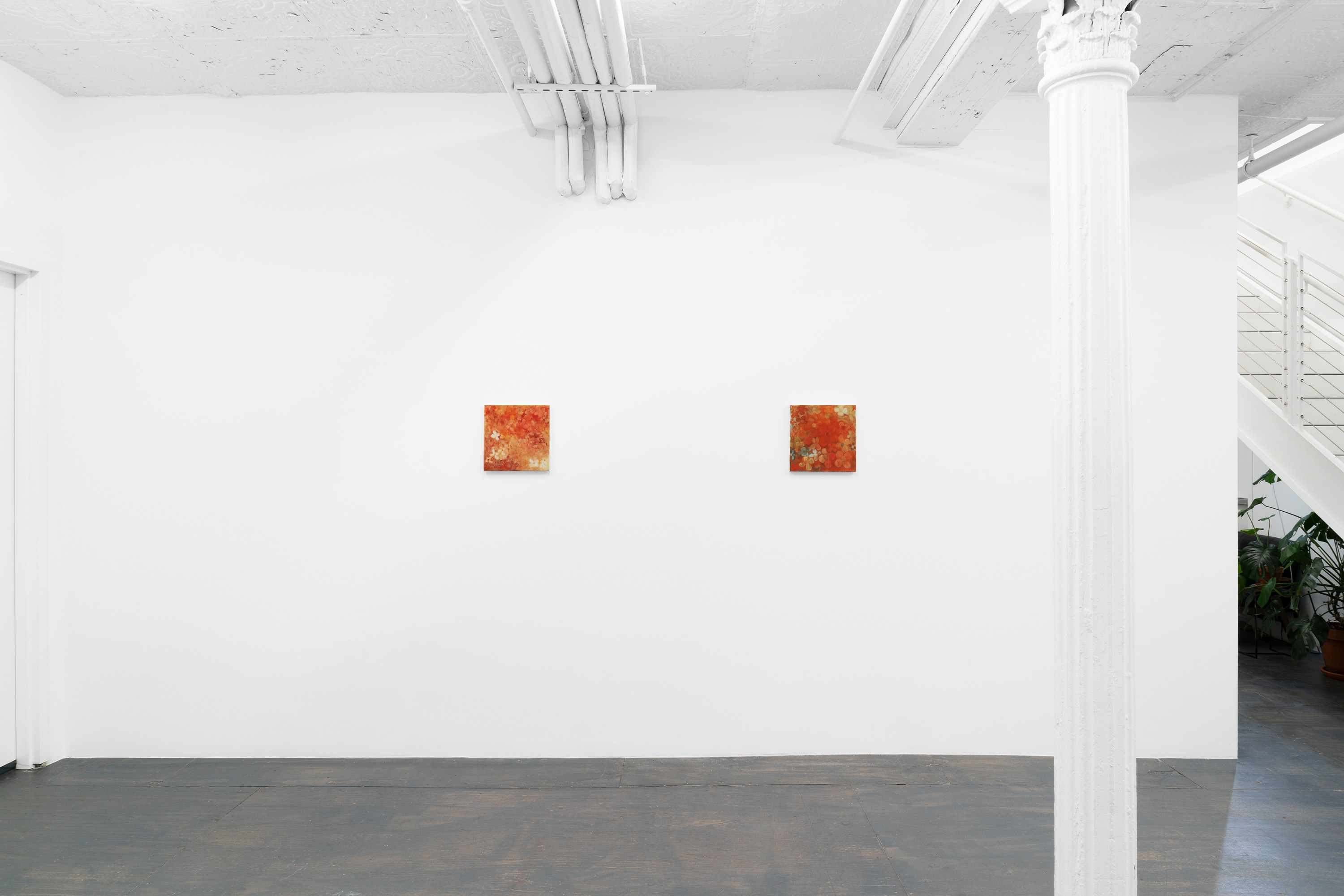 Installation view 4
