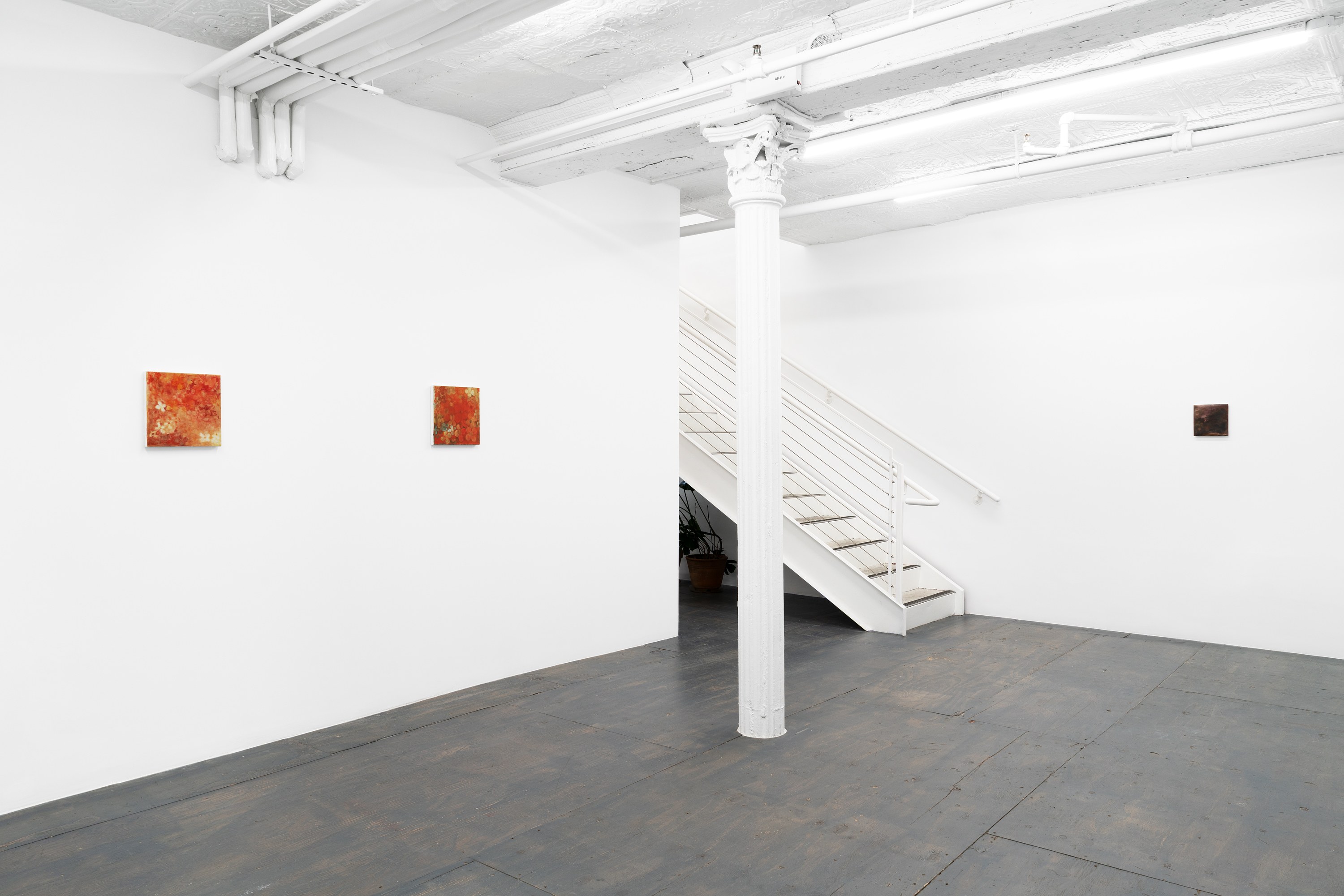 Installation view 5