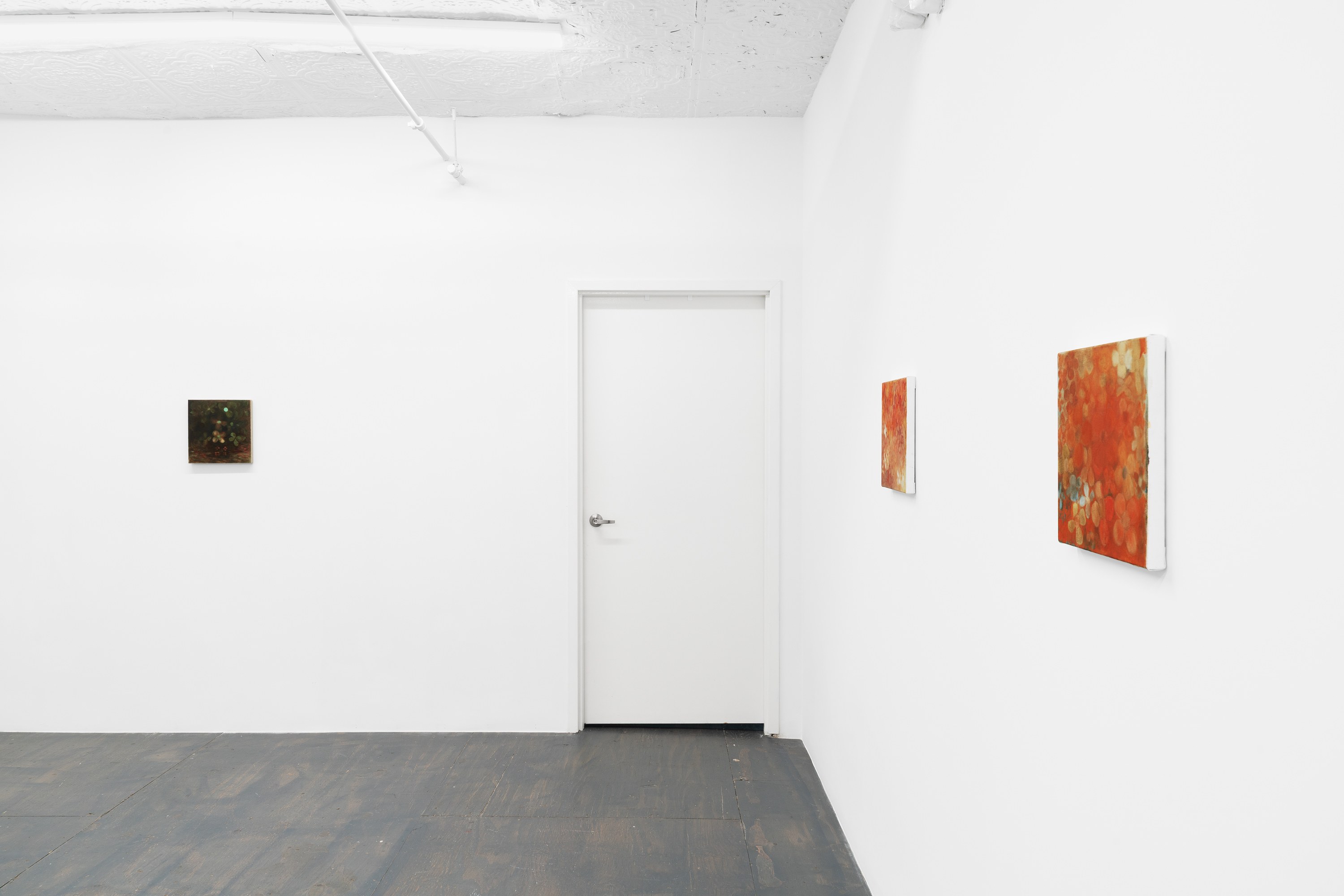 Installation view 8