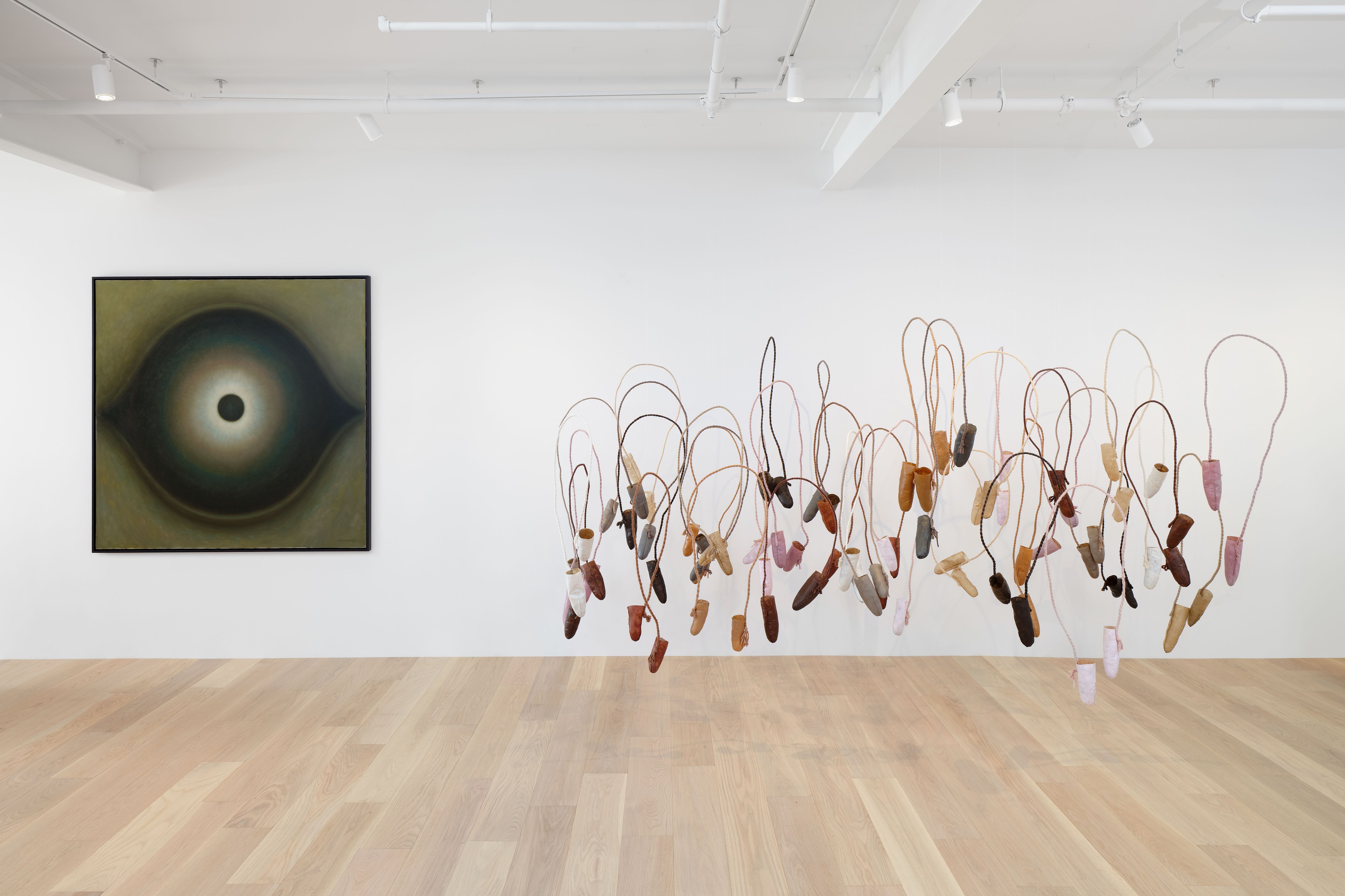 Hello, the Roses, Hello, the Roses at Hoffman Donahue, photo 3