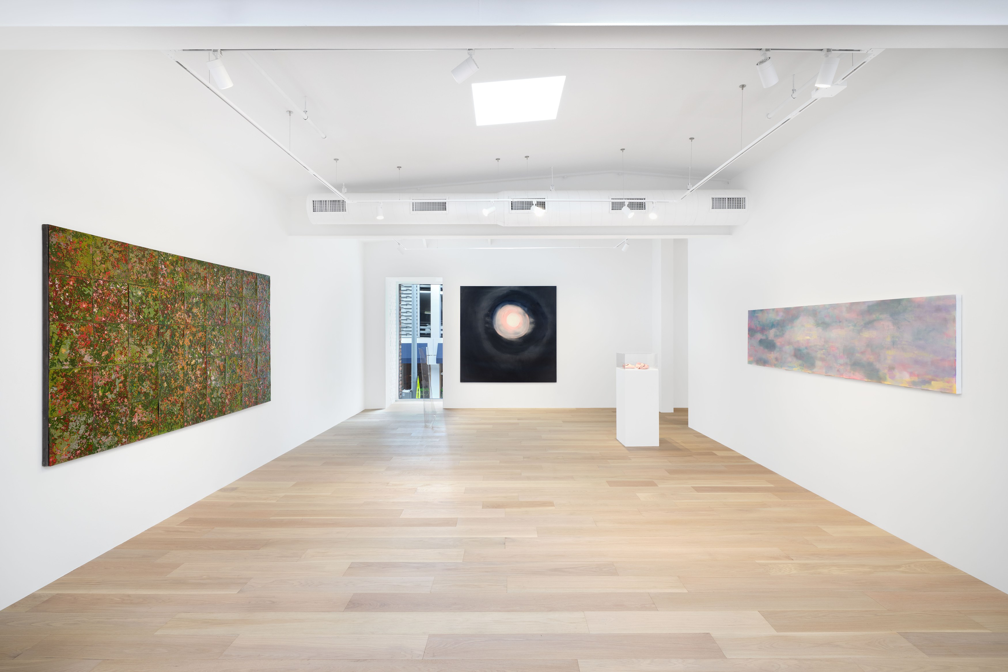 Hello, the Roses, Hello, the Roses at Hoffman Donahue, photo 7