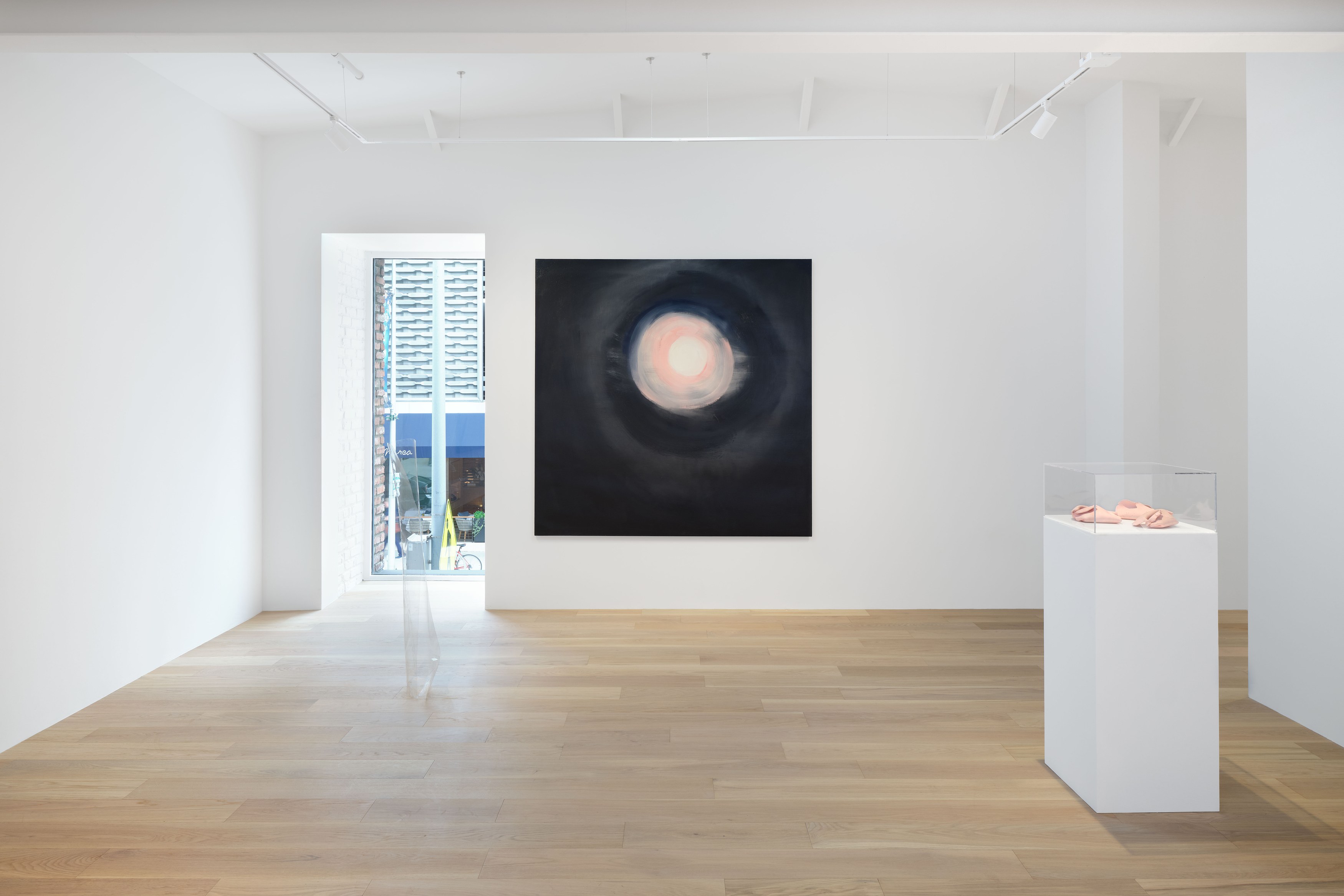 Hello, the Roses, Hello, the Roses at Hoffman Donahue, photo 8