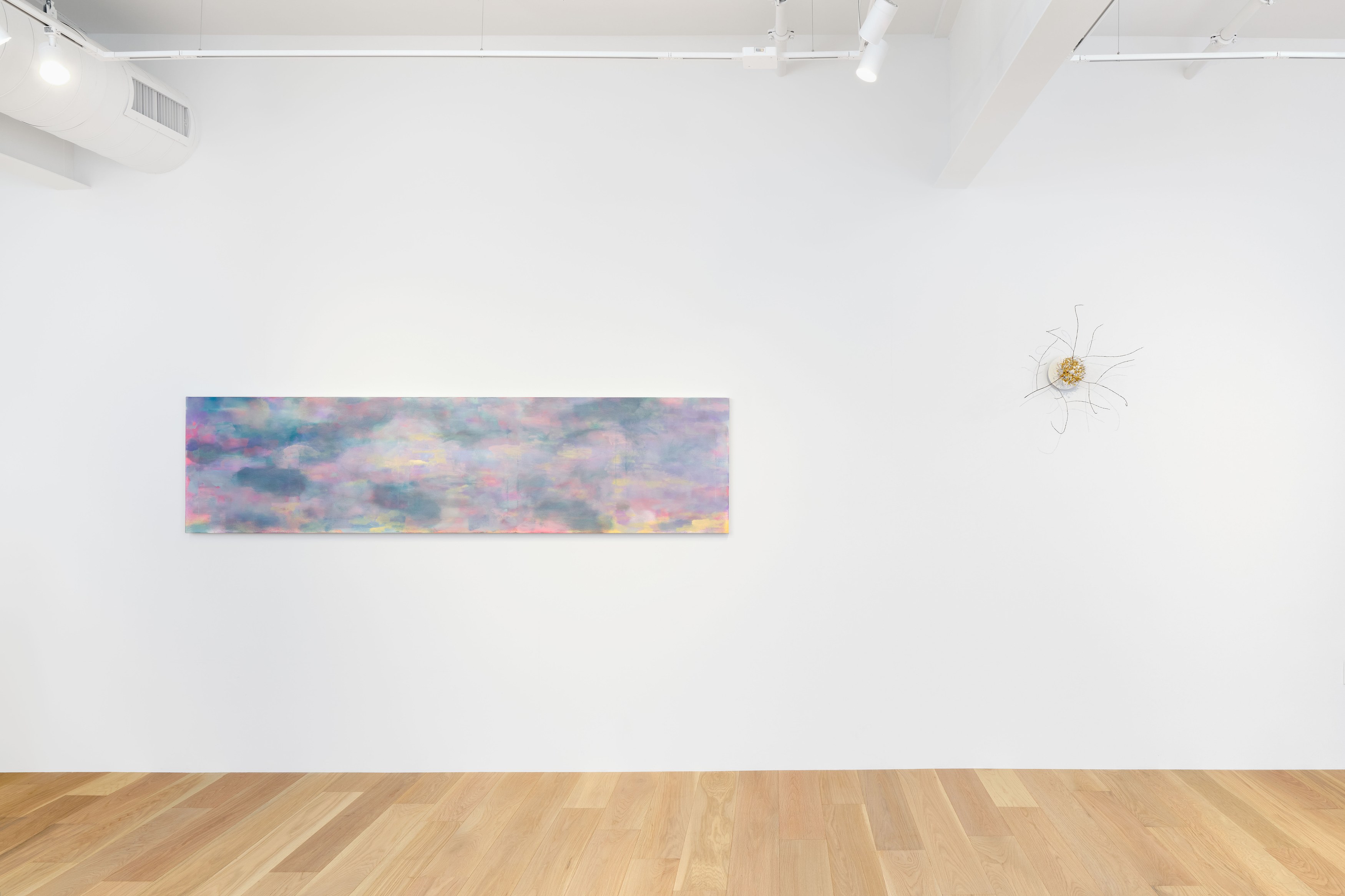Hello, the Roses, Hello, the Roses at Hoffman Donahue, photo 10