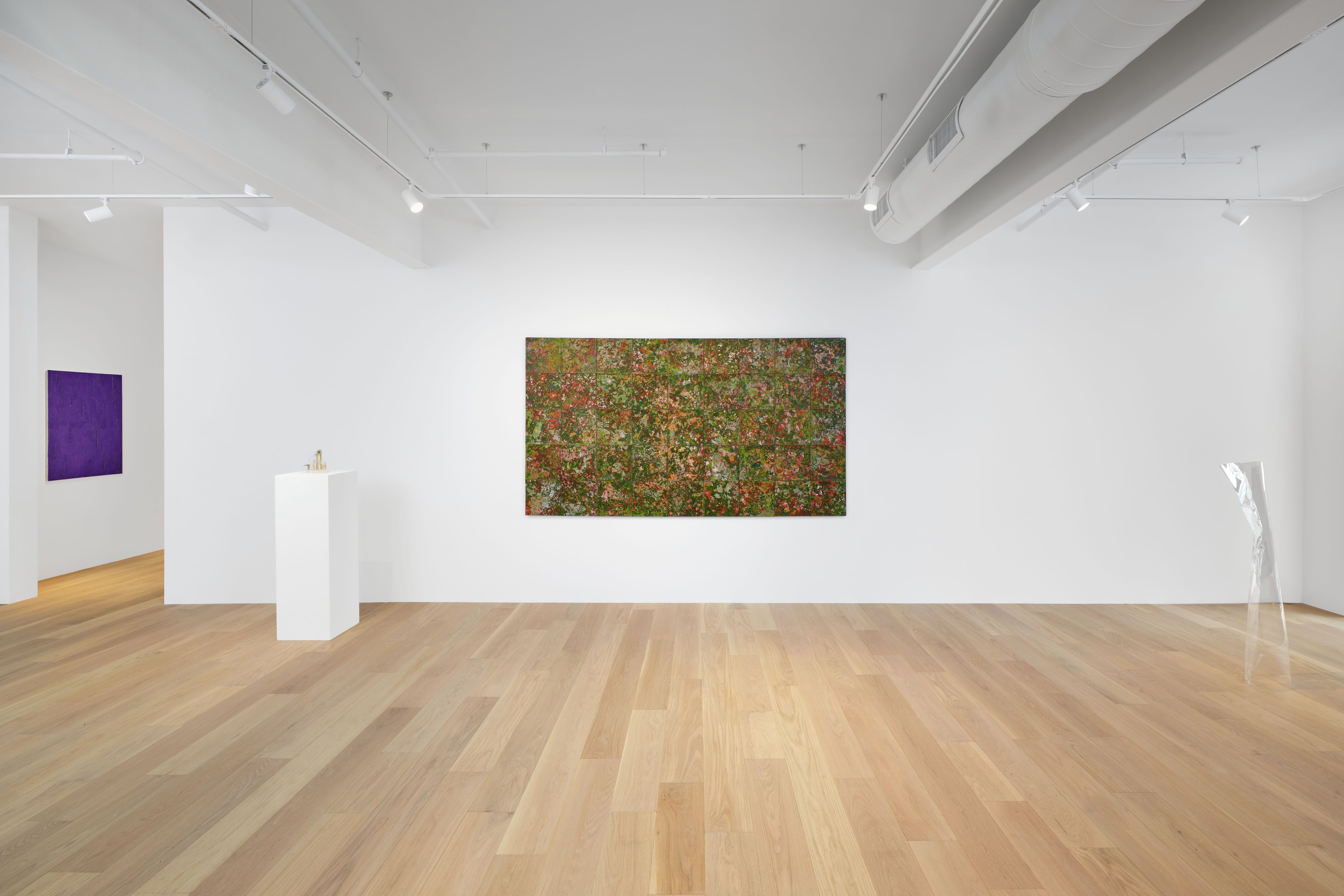 Hello, the Roses, Hello, the Roses at Hoffman Donahue, photo 11
