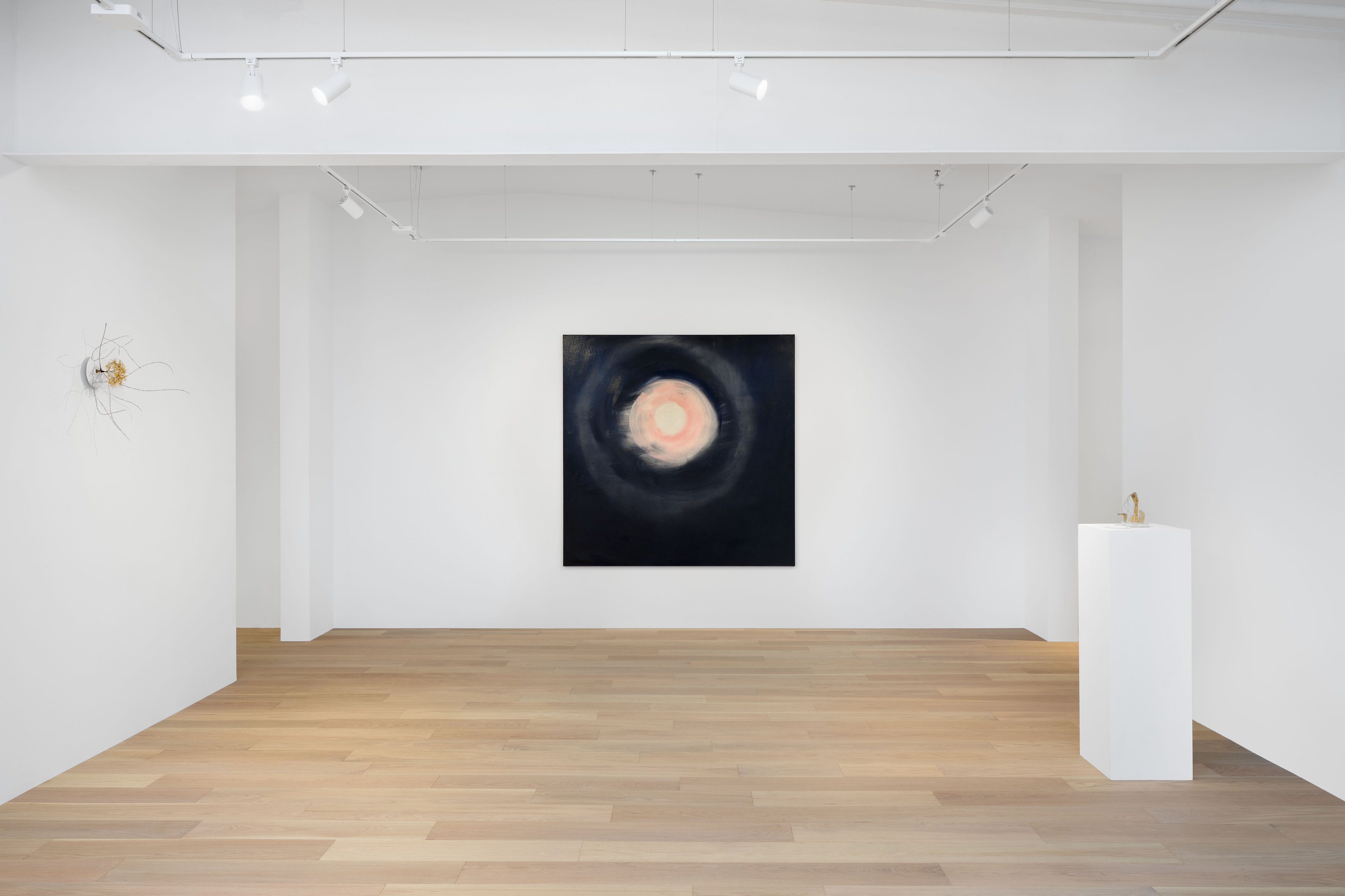 Hello, the Roses, Hello, the Roses at Hoffman Donahue, photo 13