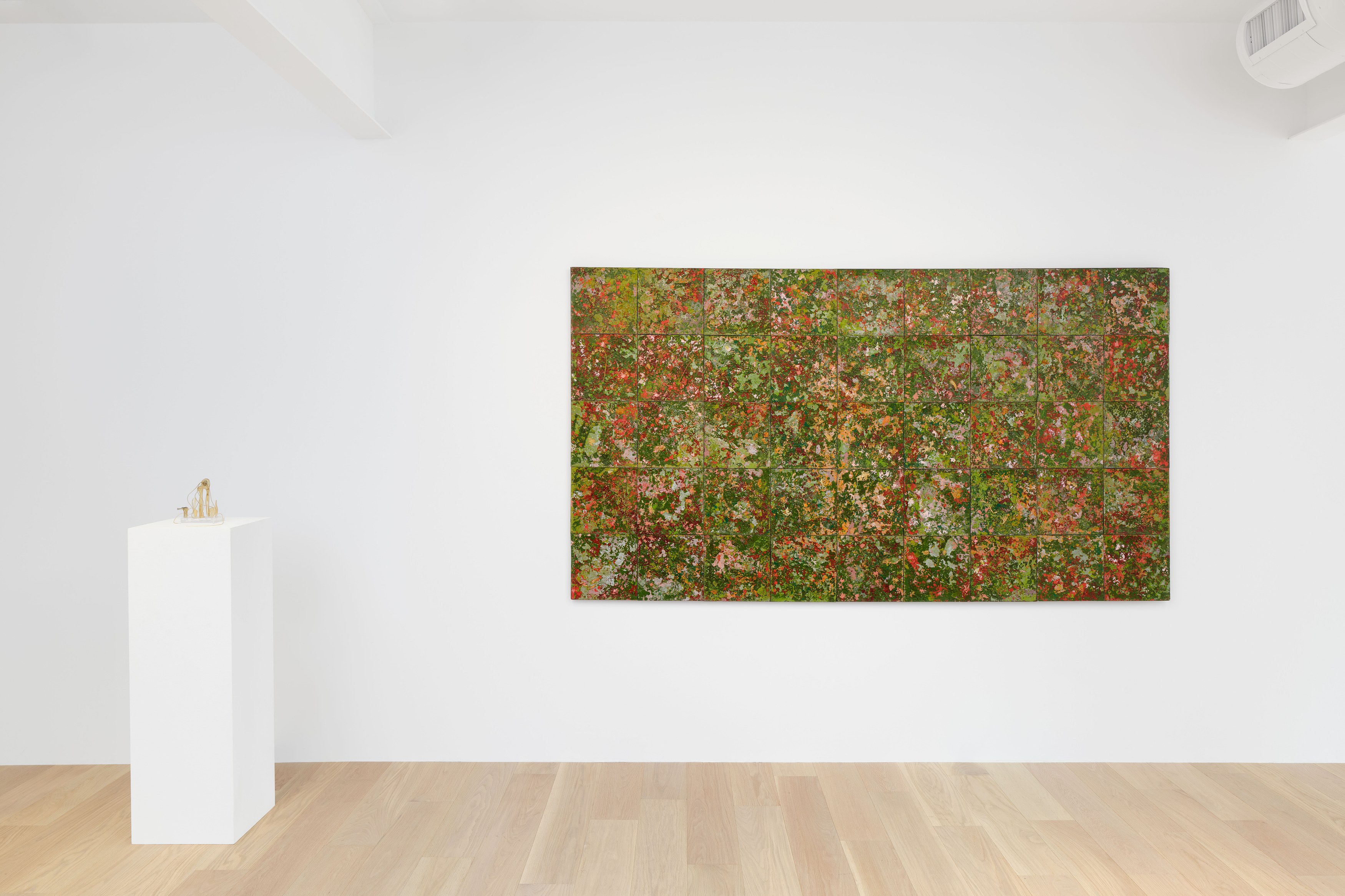 Hello, the Roses, Hello, the Roses at Hoffman Donahue, photo 12
