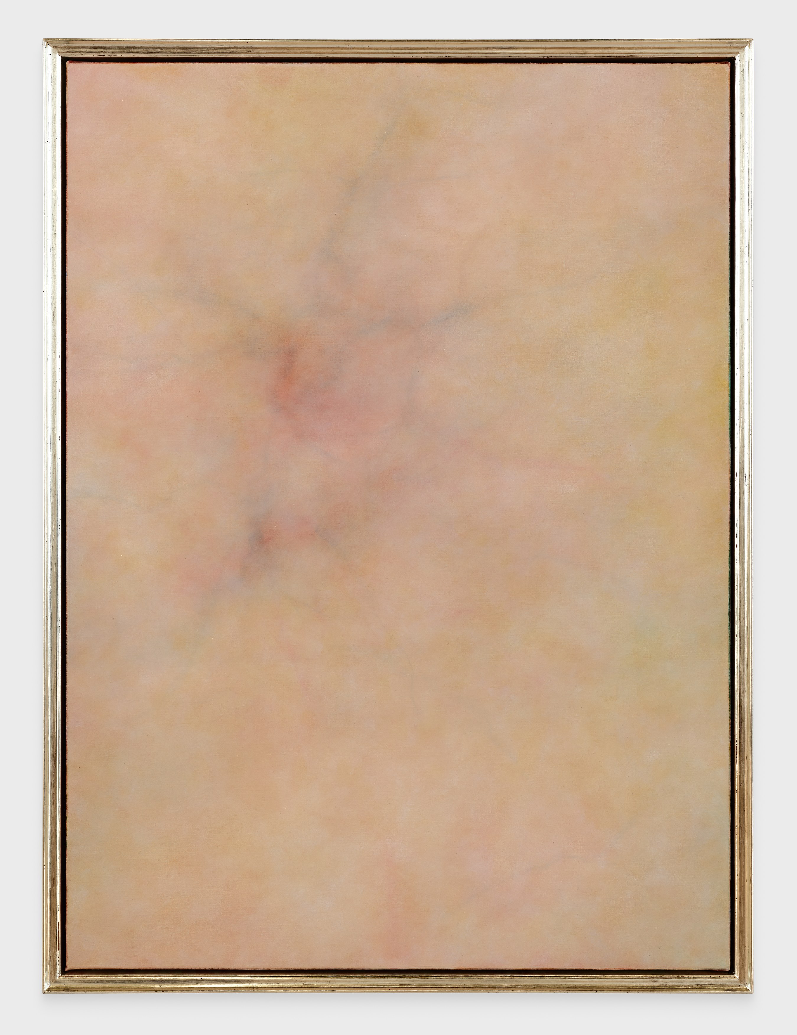 Hello, the Roses, Hello, the Roses at Hoffman Donahue, photo 28