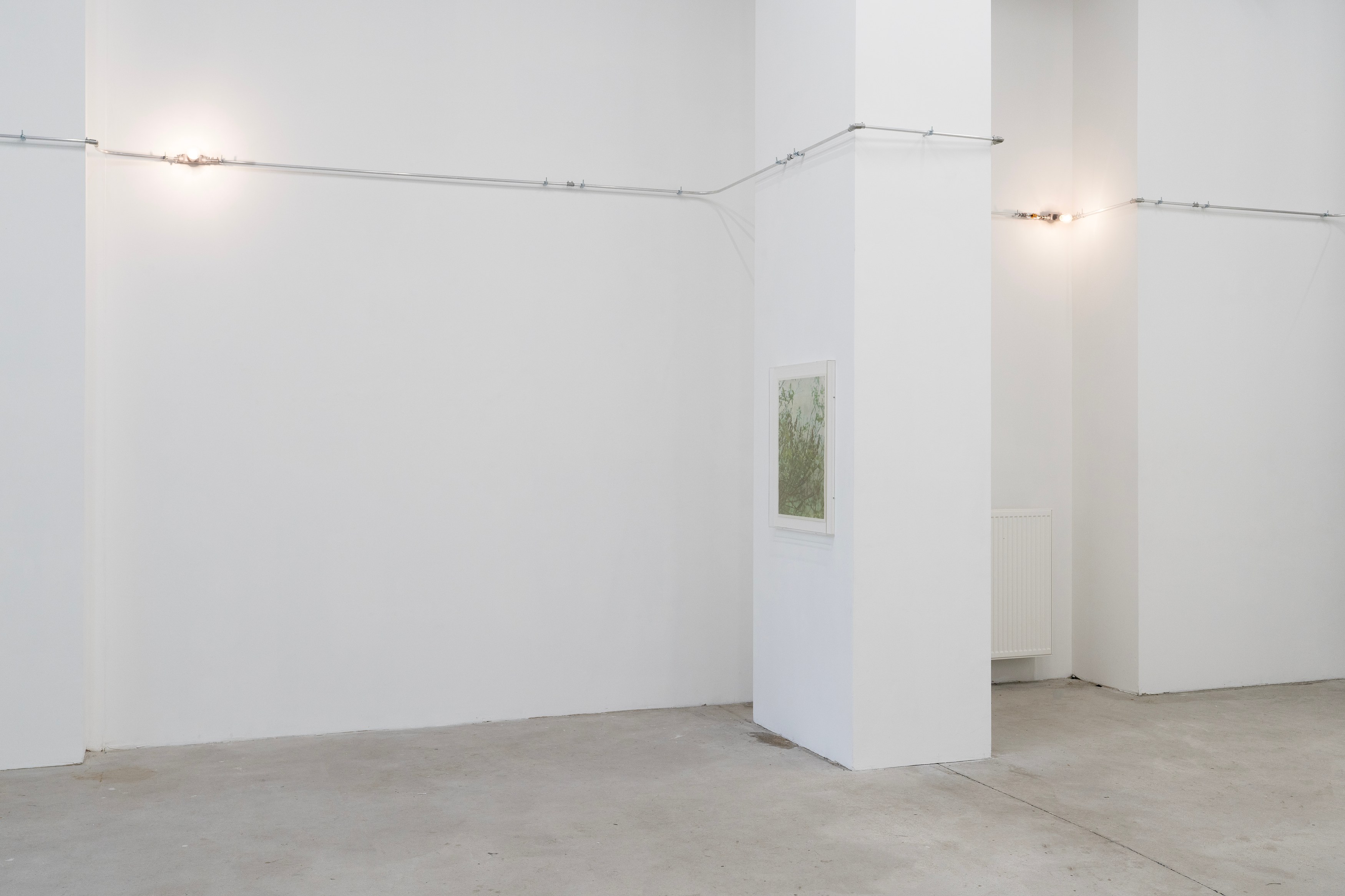 Christopher Aque, Regrowth at Sweetwater, photo 2