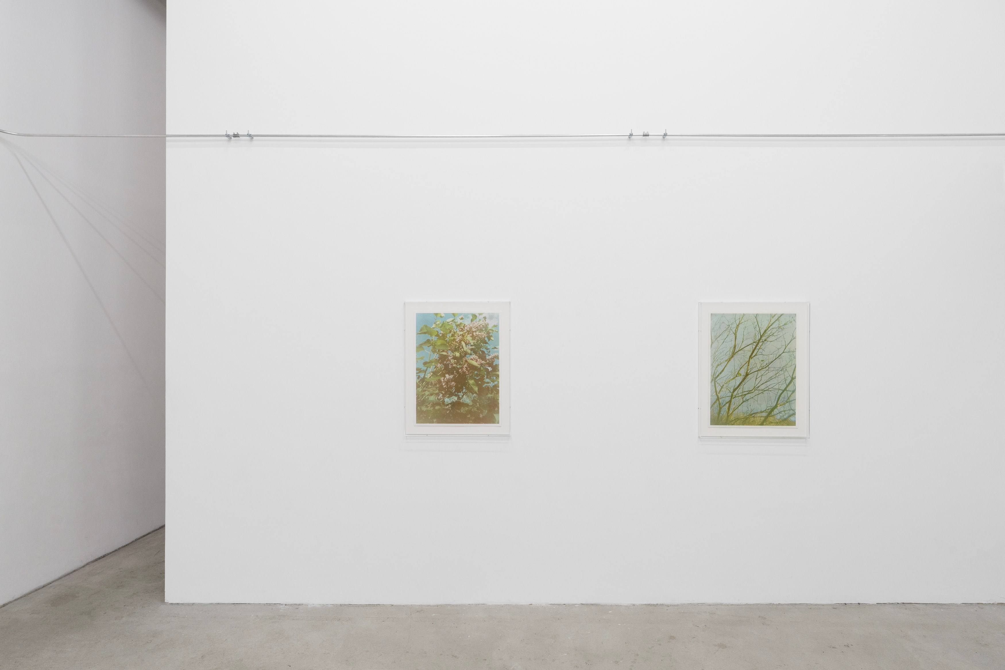 Christopher Aque, Regrowth at Sweetwater, photo 5