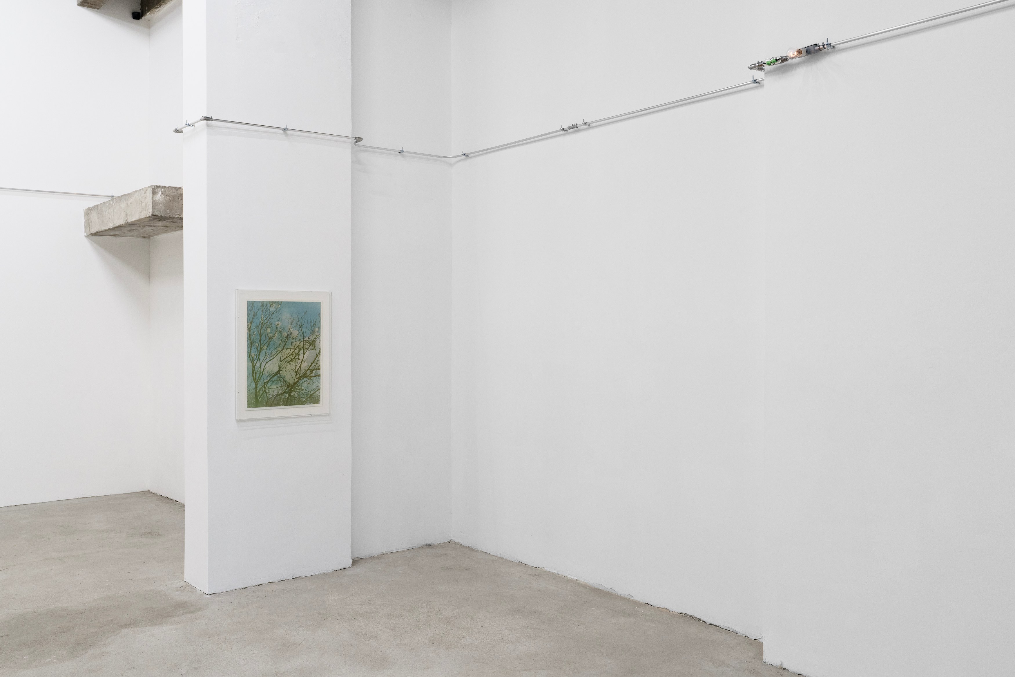 Christopher Aque, Regrowth at Sweetwater, photo 10