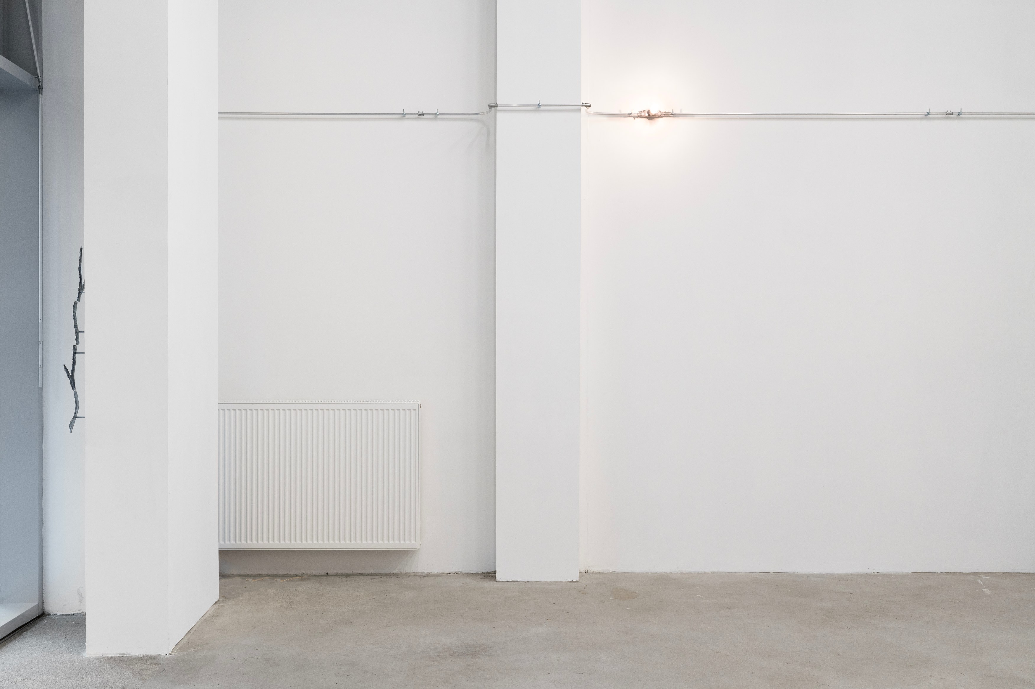Christopher Aque, Regrowth at Sweetwater, photo 13