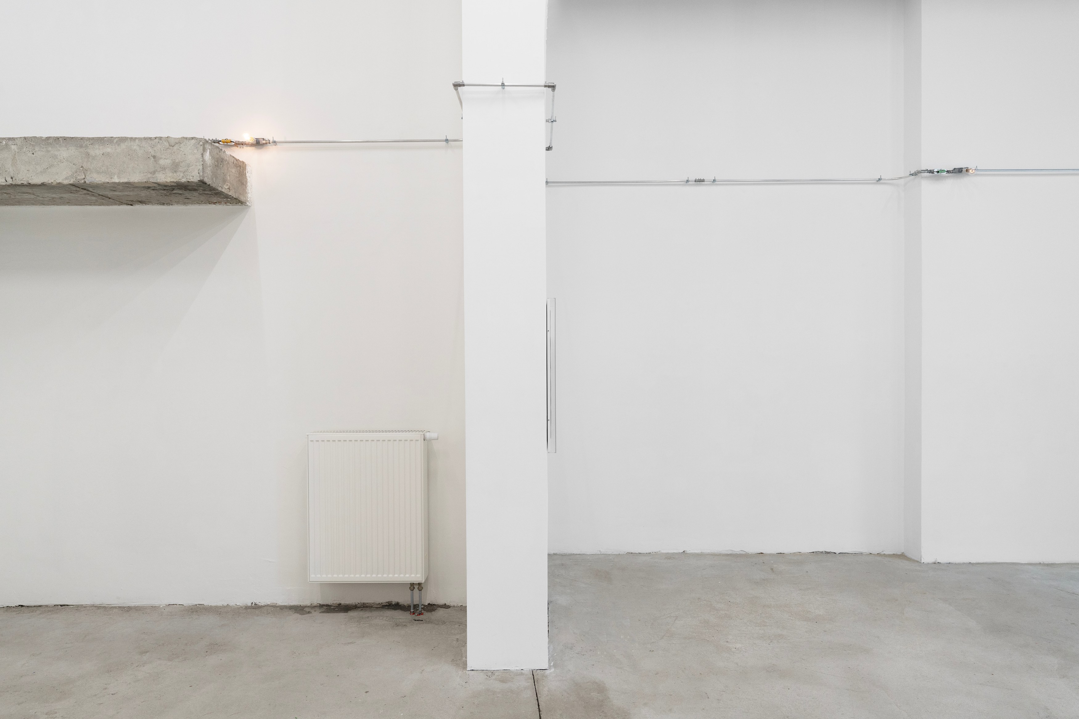 Christopher Aque, Regrowth at Sweetwater, photo 15