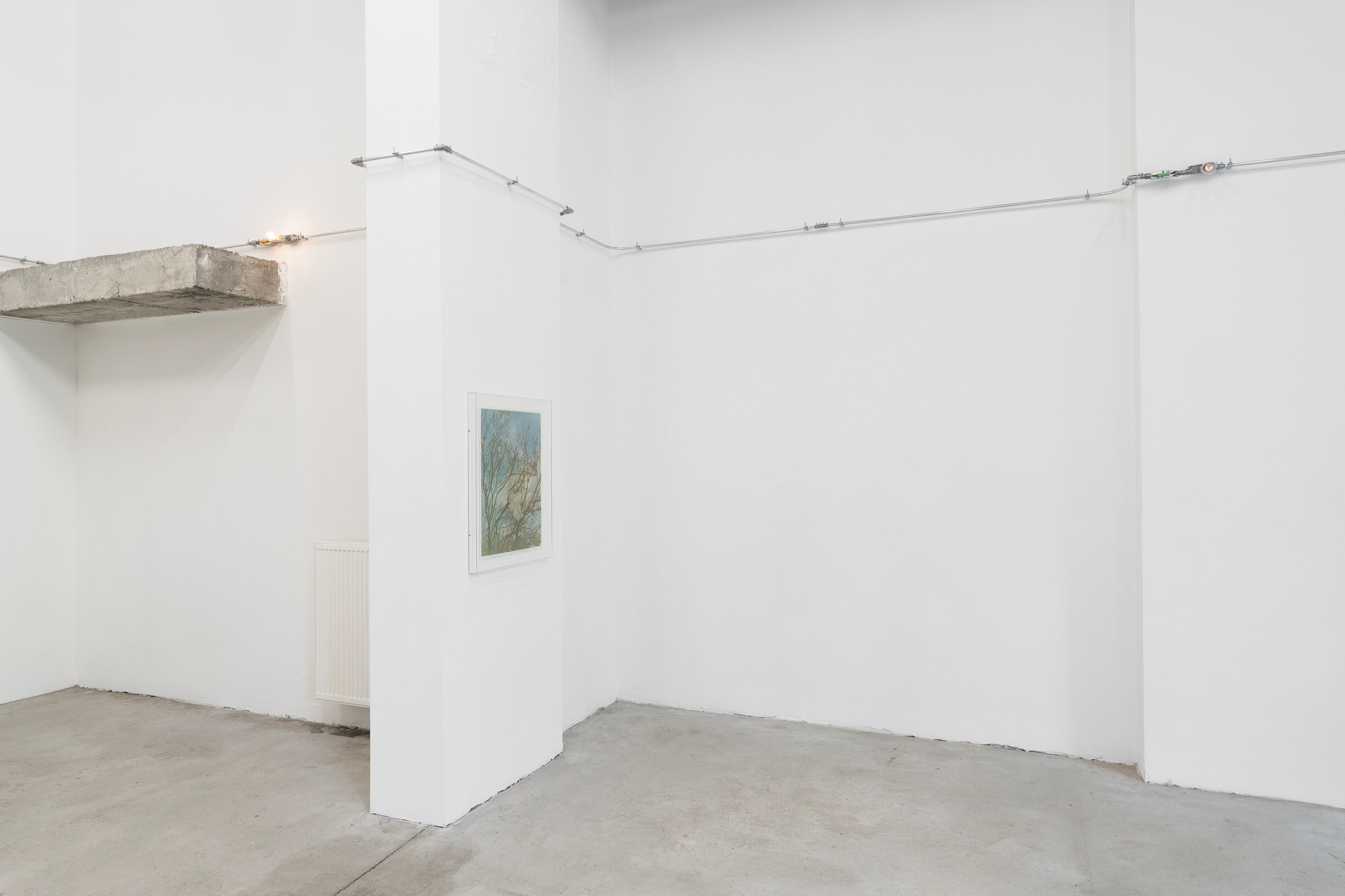 Christopher Aque, Regrowth at Sweetwater, photo 16