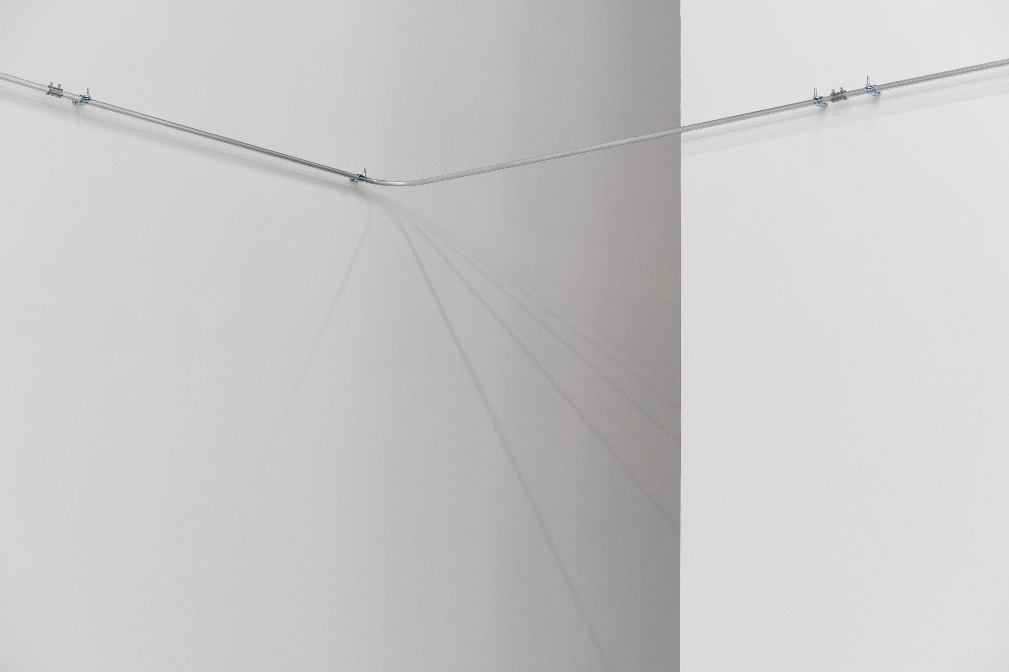 Christopher Aque, Regrowth at Sweetwater, photo 19