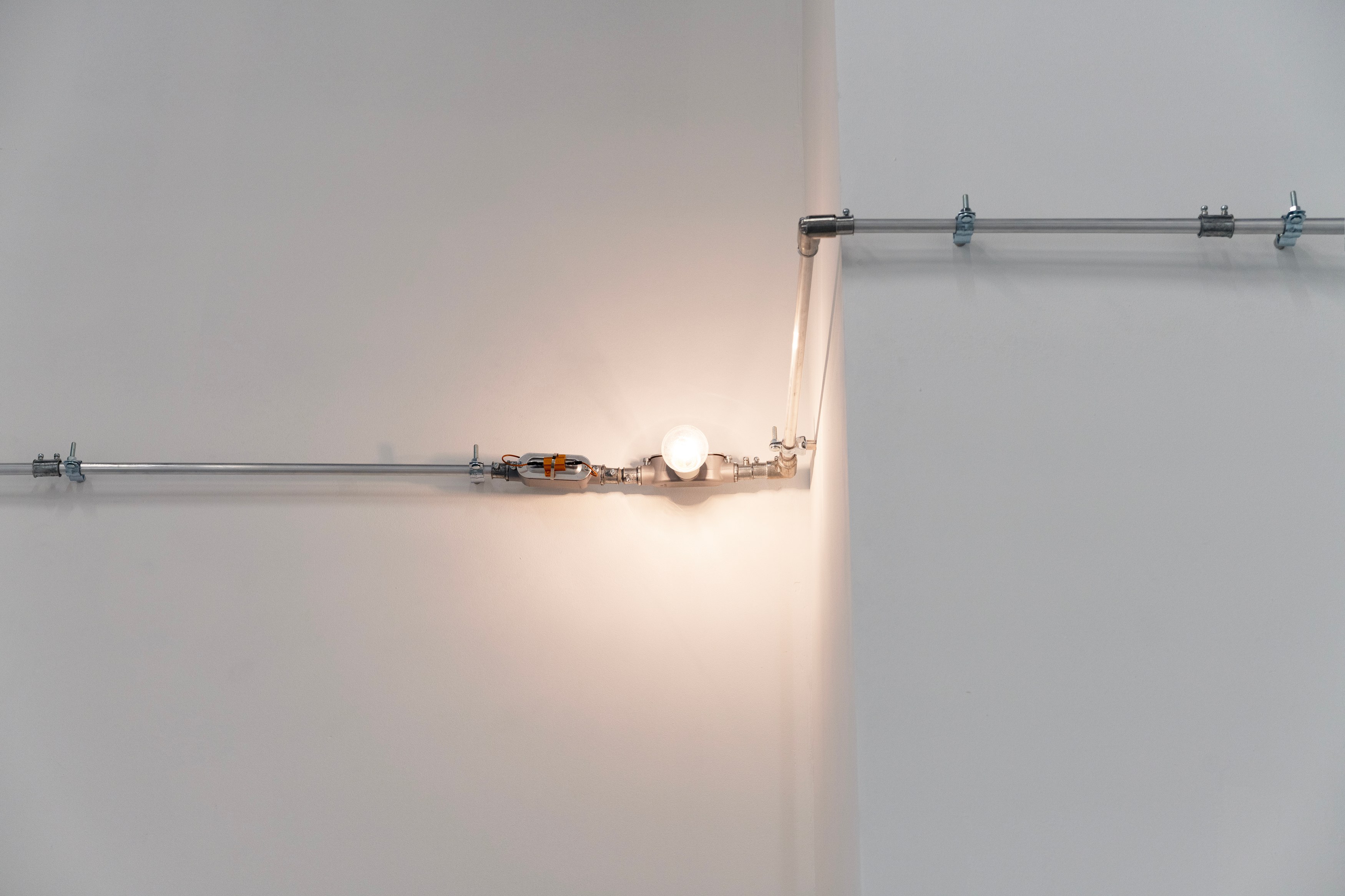 Christopher Aque, Regrowth at Sweetwater, photo 18