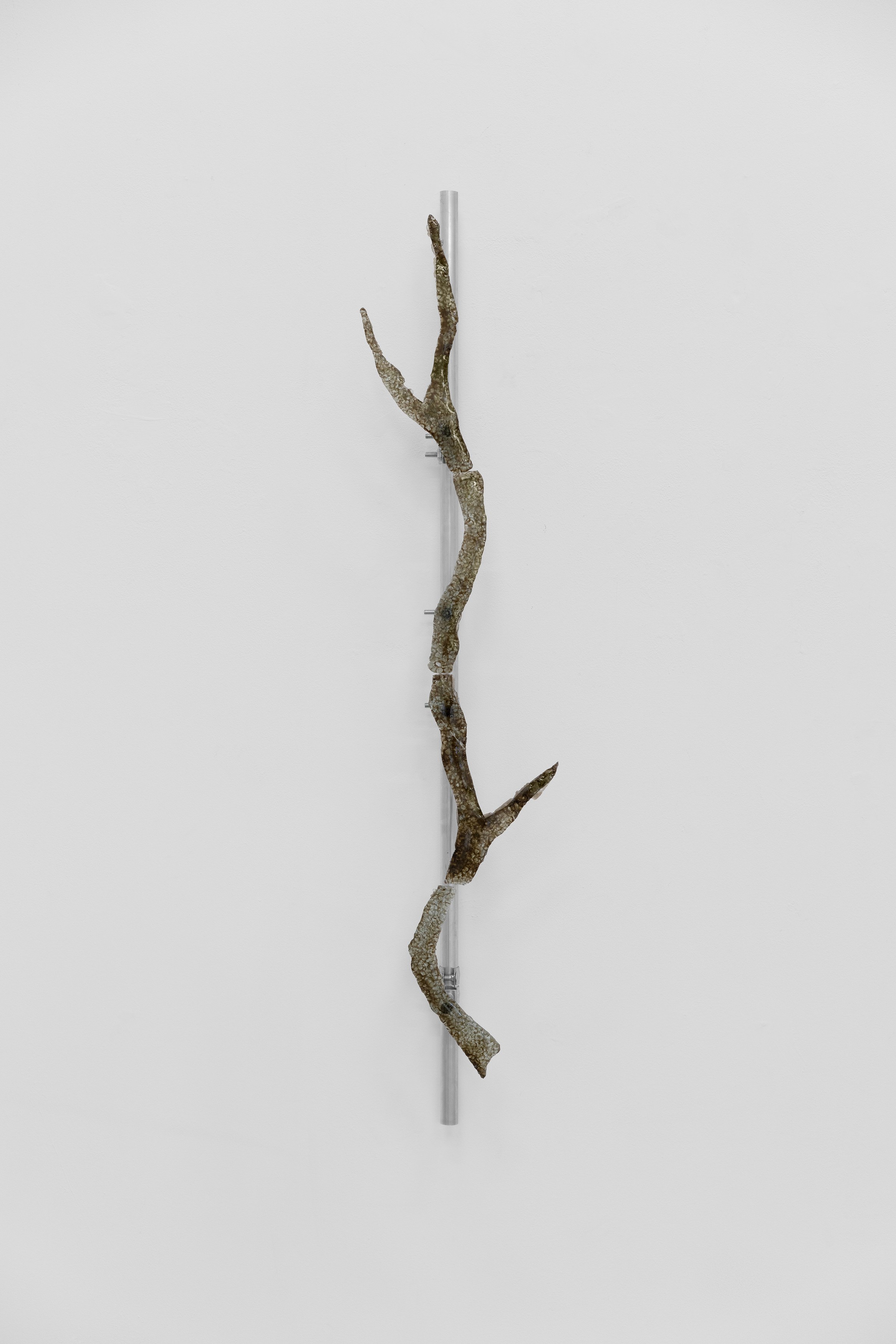 Christopher Aque, Regrowth at Sweetwater, photo 20