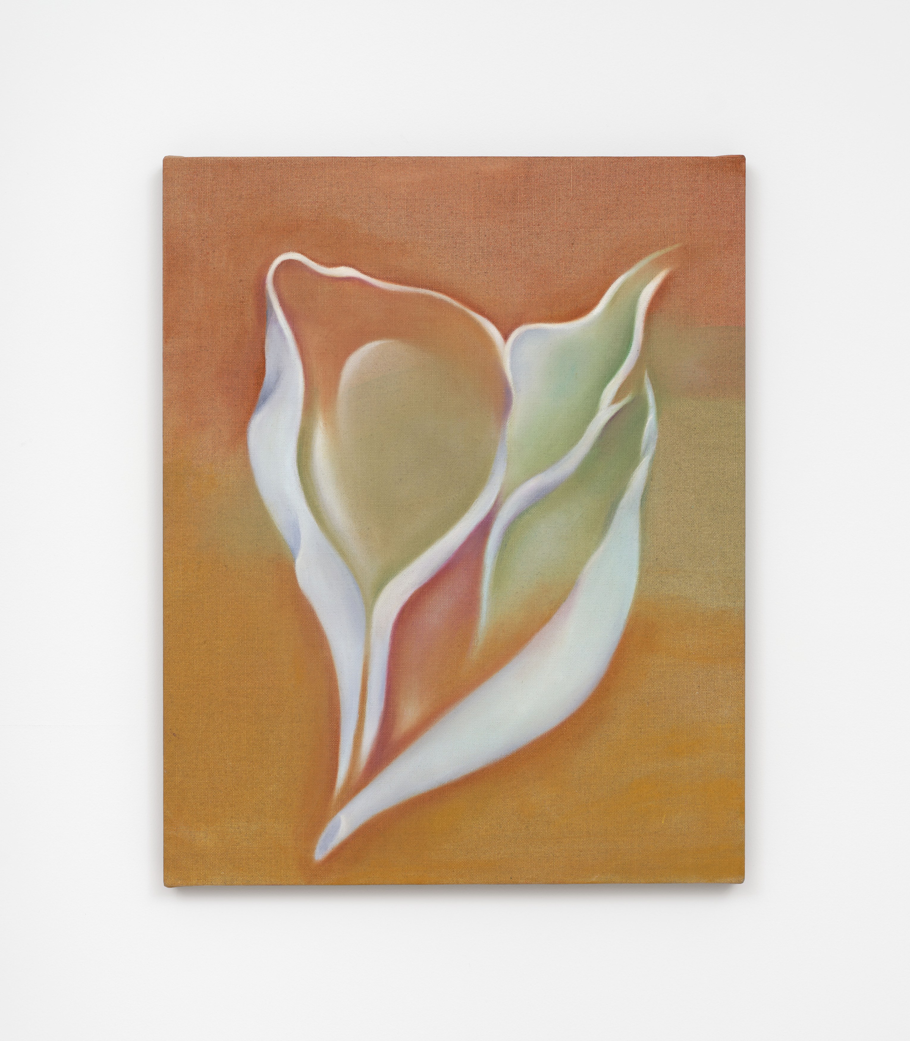 Hello, the Roses, Hello, the Roses at Hoffman Donahue, photo 61