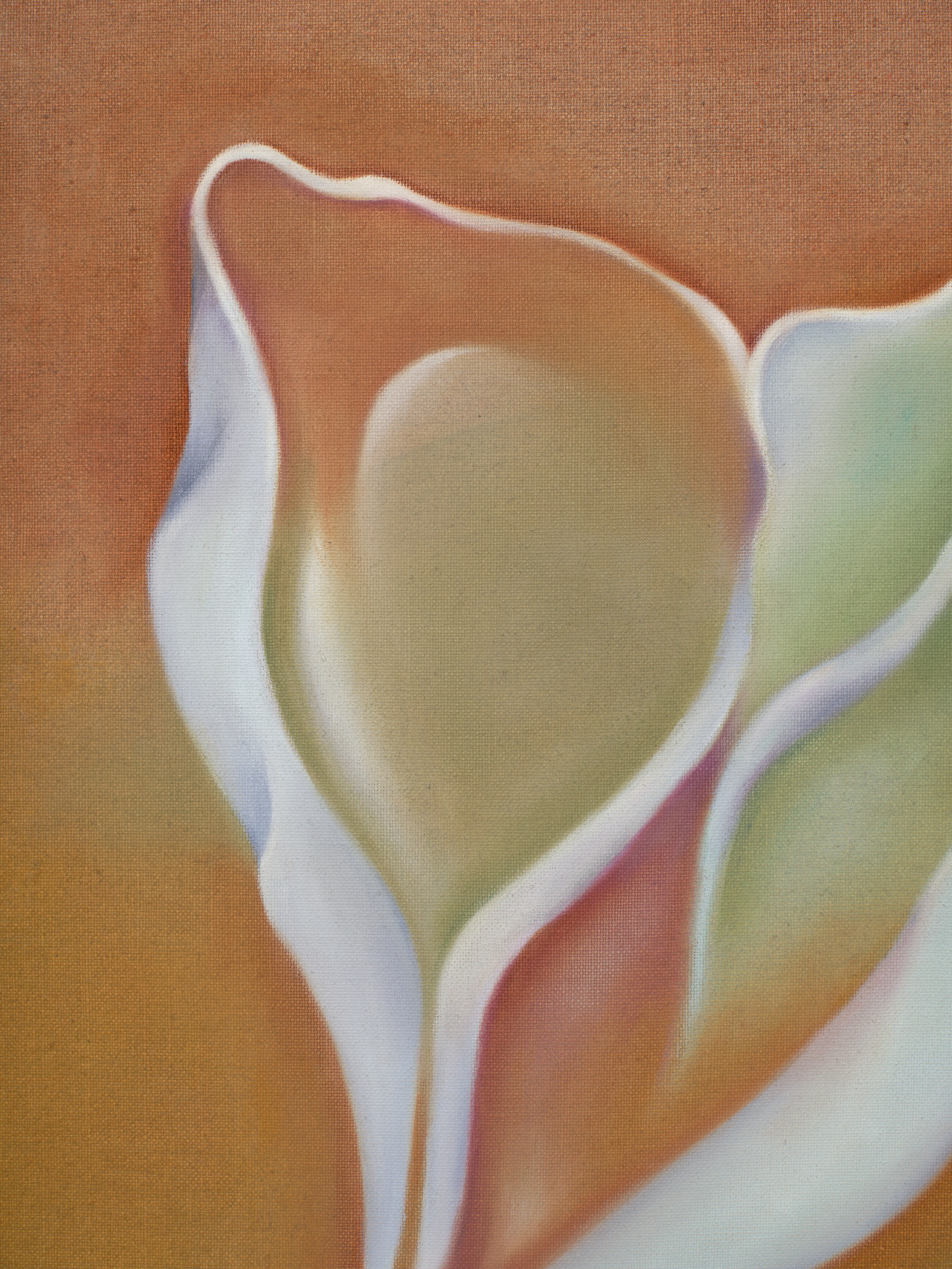 Hello, the Roses, Hello, the Roses at Hoffman Donahue, photo 63