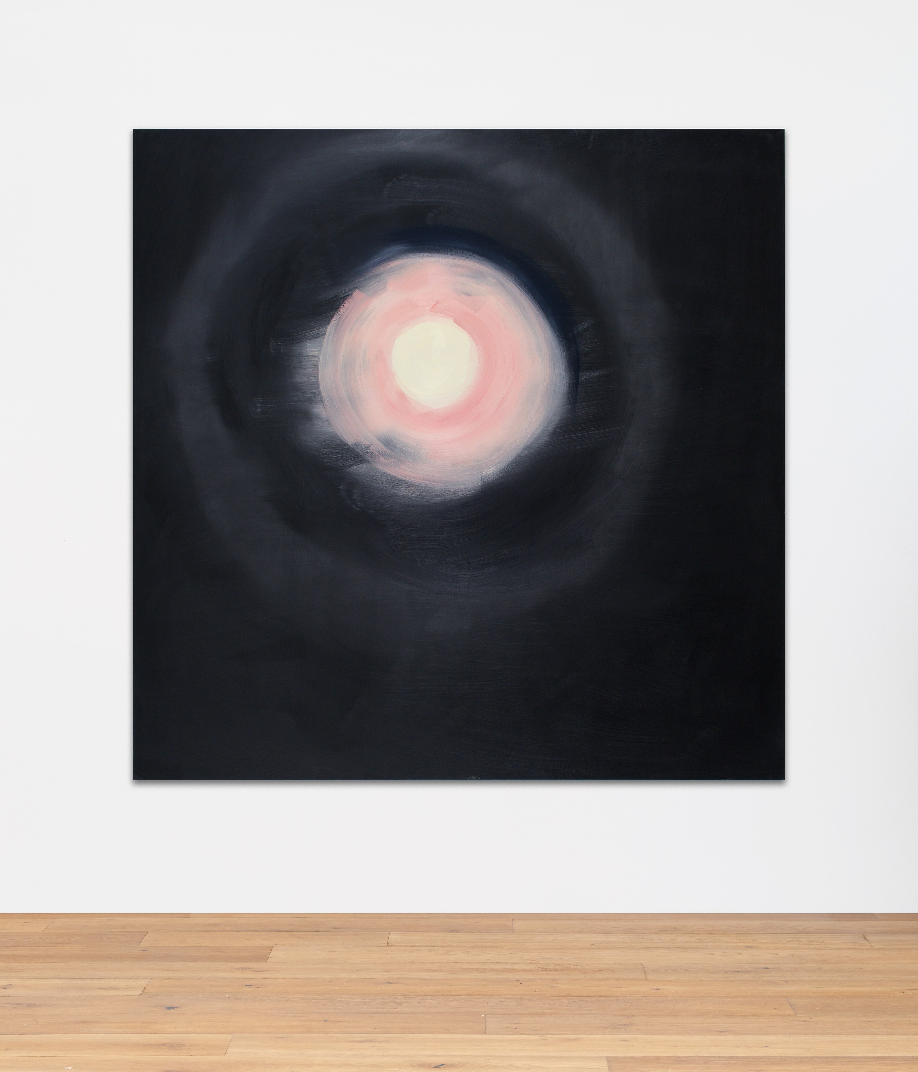 Hello, the Roses, Hello, the Roses at Hoffman Donahue, photo 67