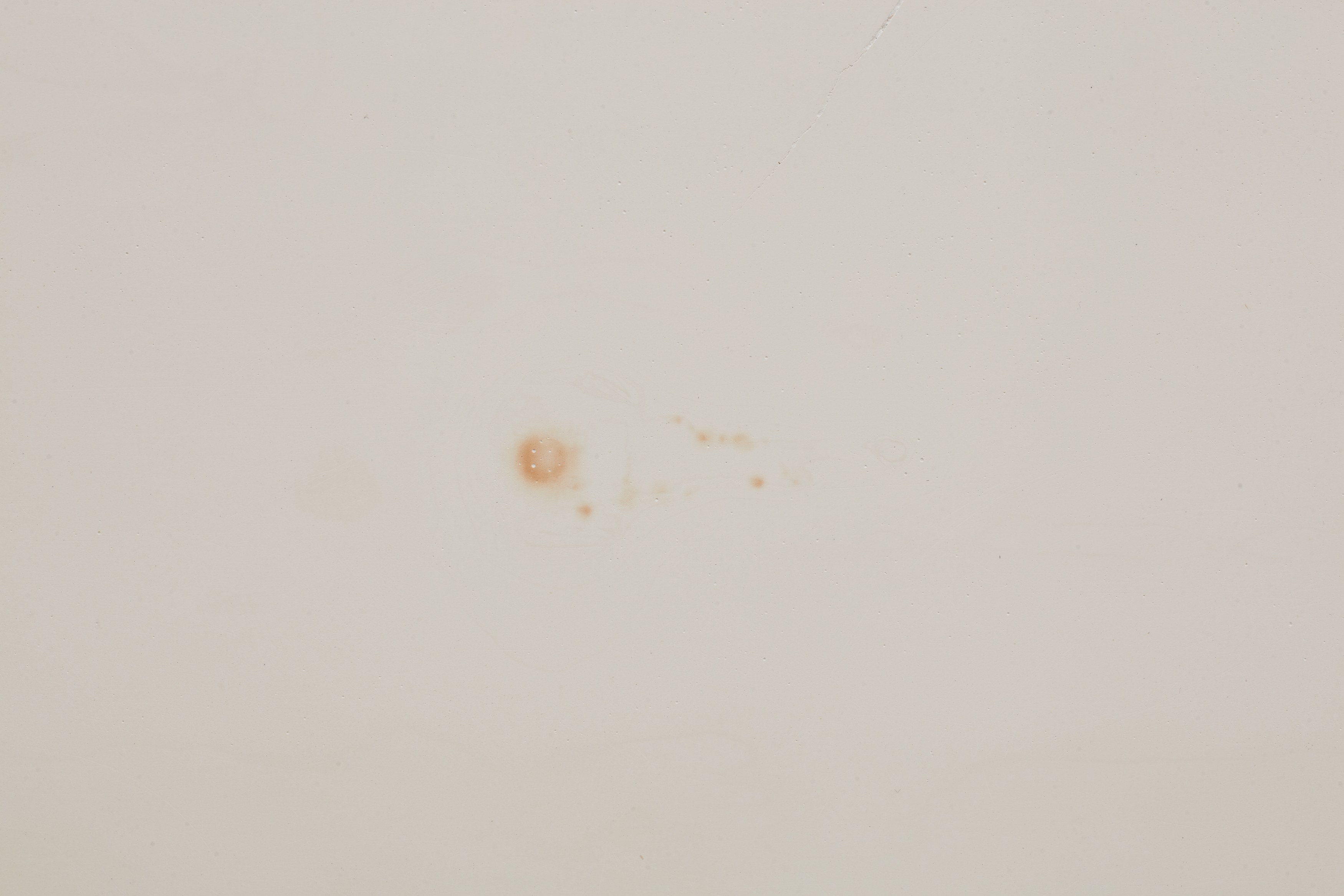 Louis Blue Newby, image 29 of 37