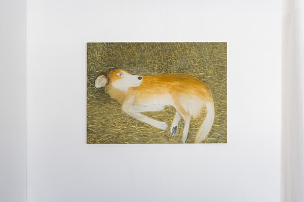 Yu Nishimura | Contemporary Art Library