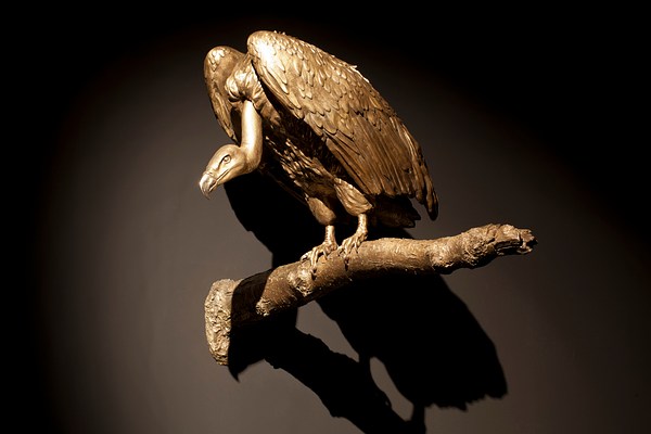 Image 3 of 6