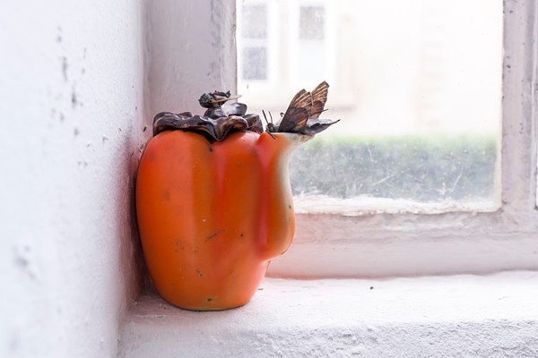Image 14 of 28