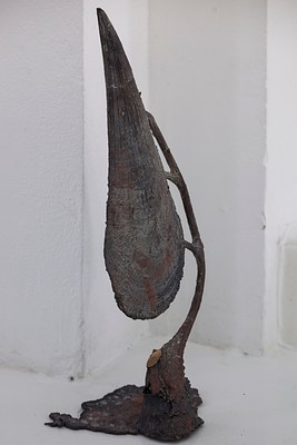Image 15 of 28