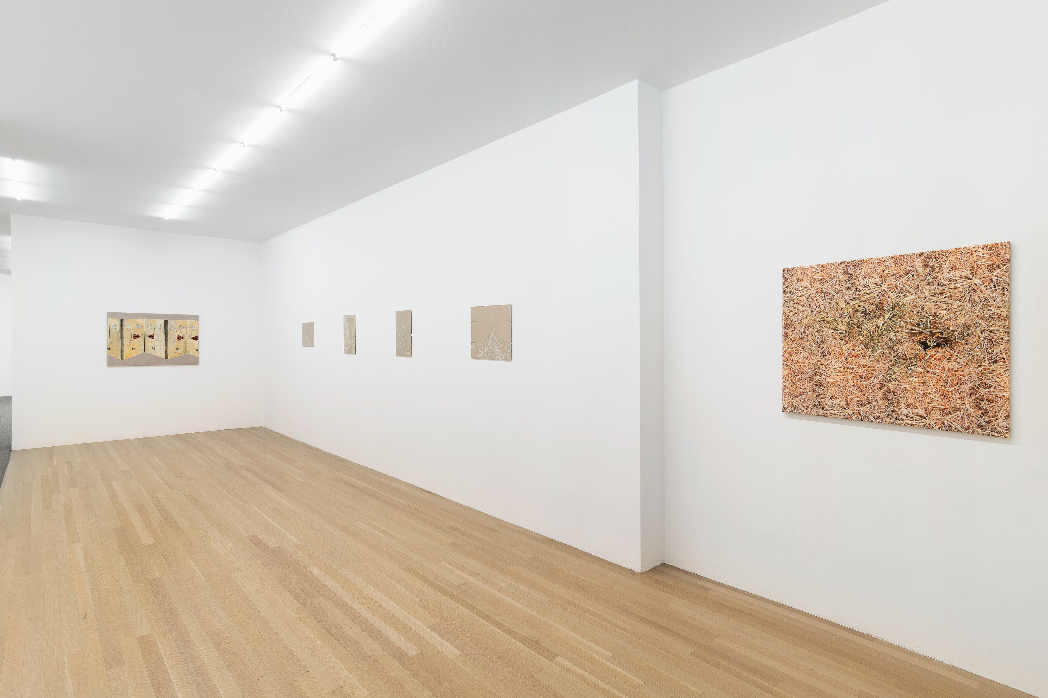 Vera Palme, Bottleneck at Galerie Buchholz, Berlin, photo 3