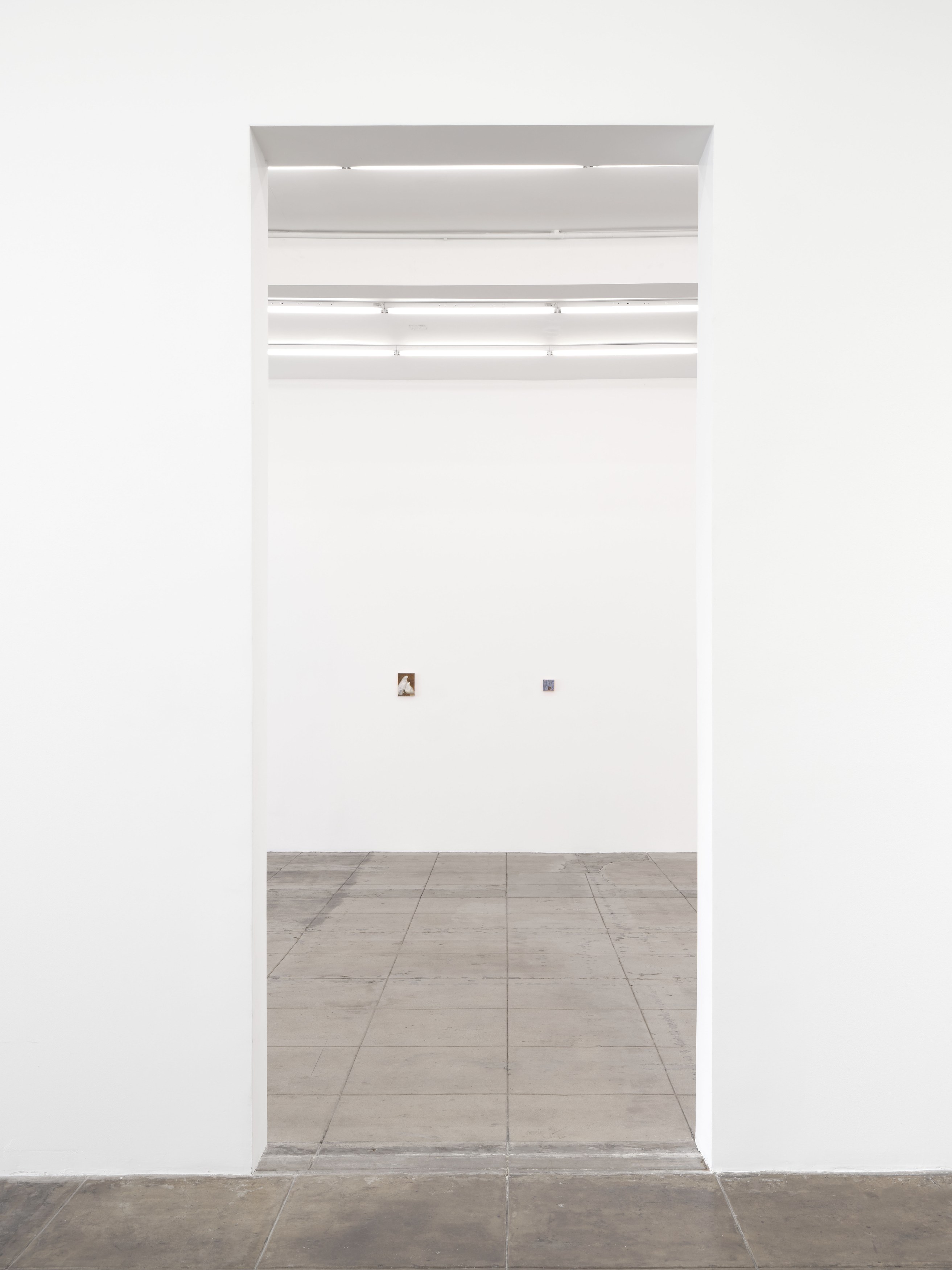 Katelyn Eichwald, Good While It Lasted at Overduin and Kite, photo 43