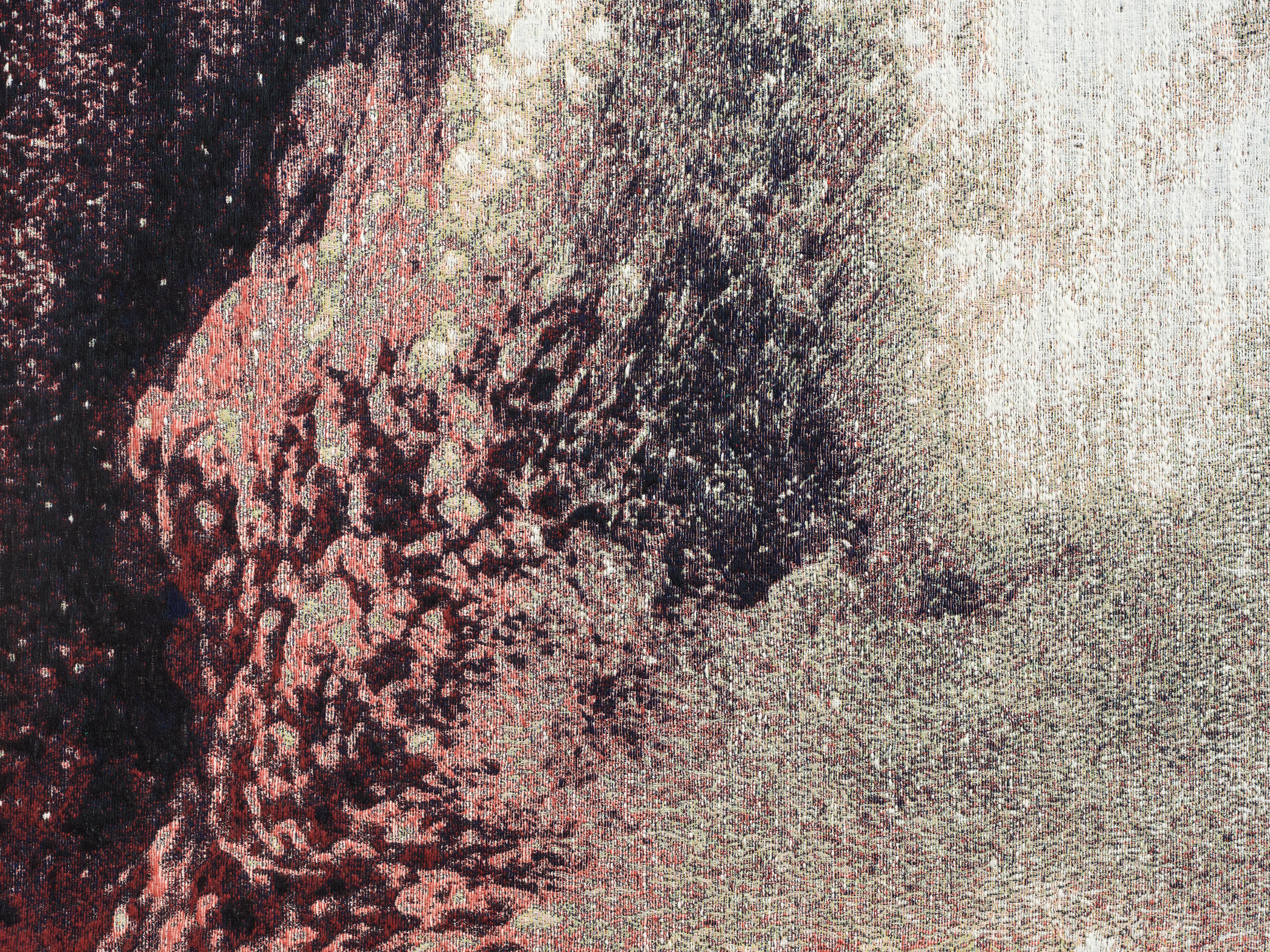 Edith Dekyndt, Richard Long, Untitled at Okey Dokey Konrad Fischer, photo 13