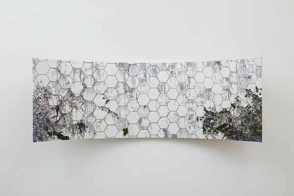 Chiki | Contemporary Art Library